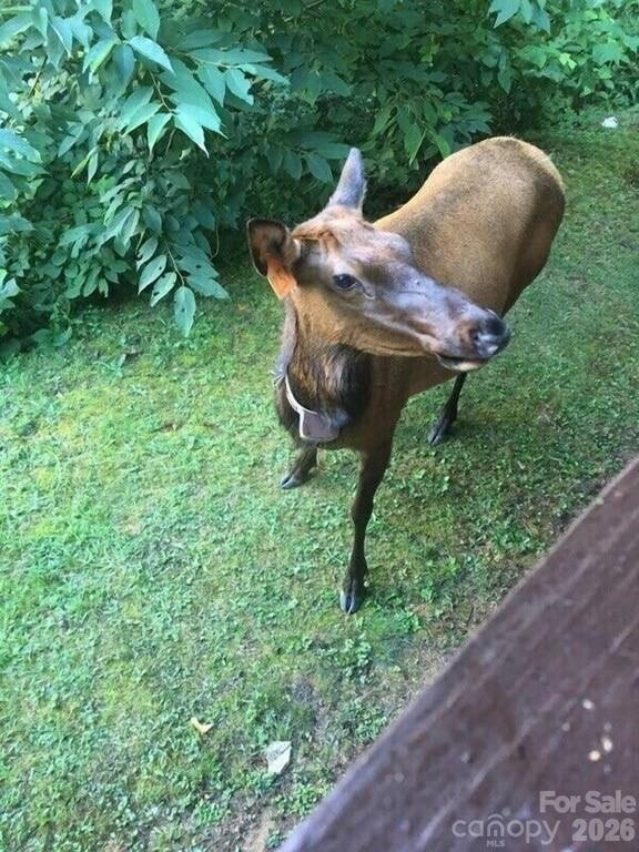 135 Pretty Ridge Road - Photo 45