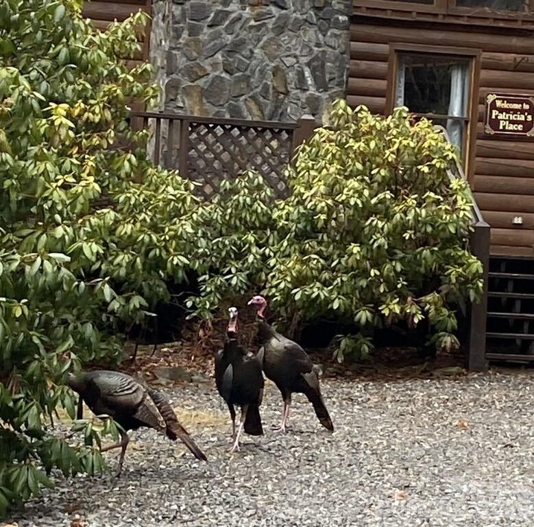 135 Pretty Ridge Road - Photo 46