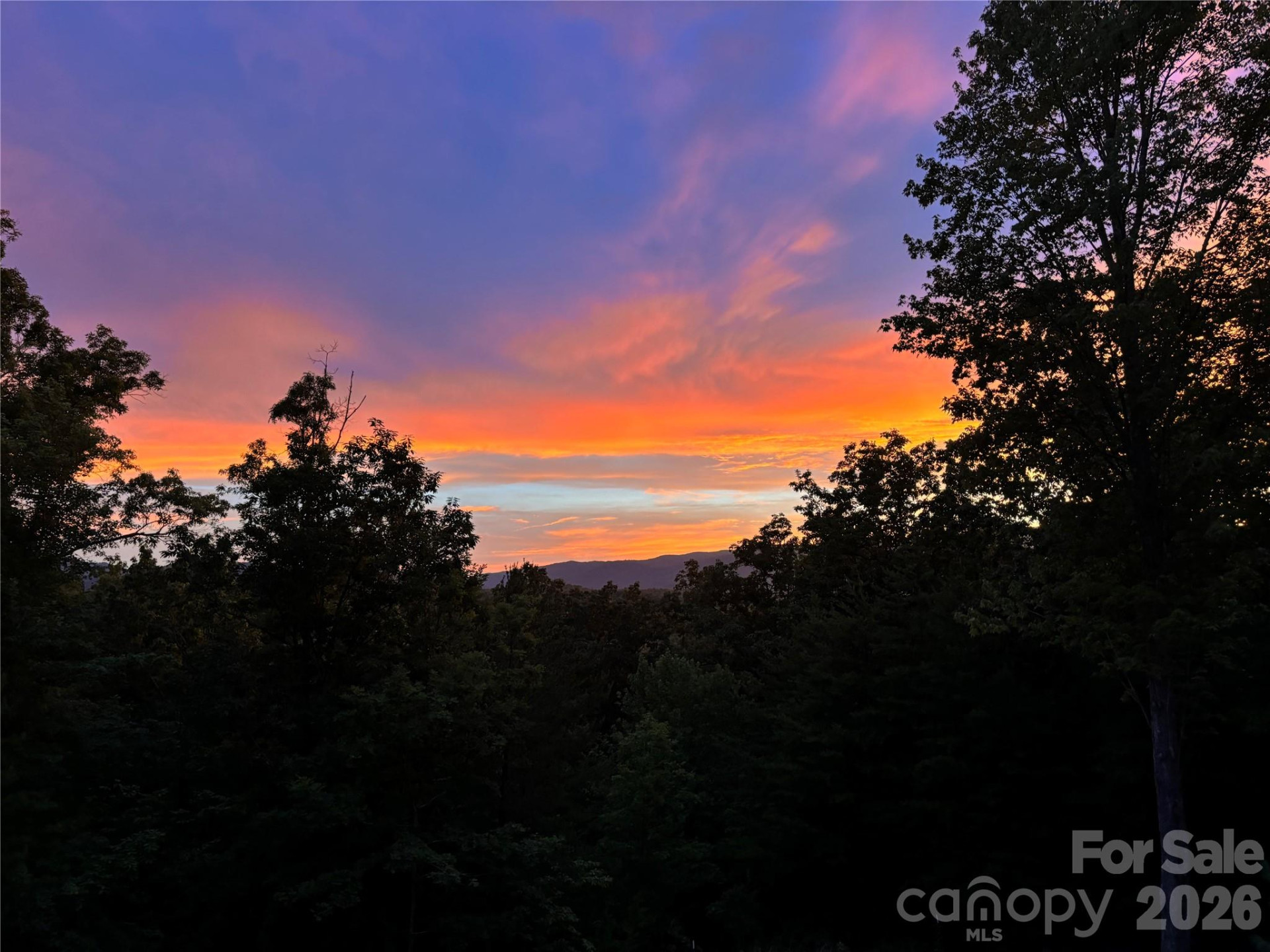 631 Mountain Parkway - Photo 39