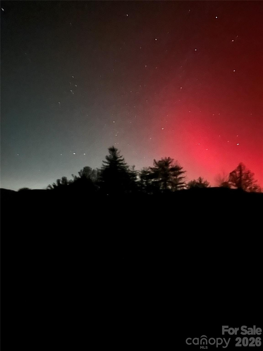 631 Mountain Parkway - Photo 41