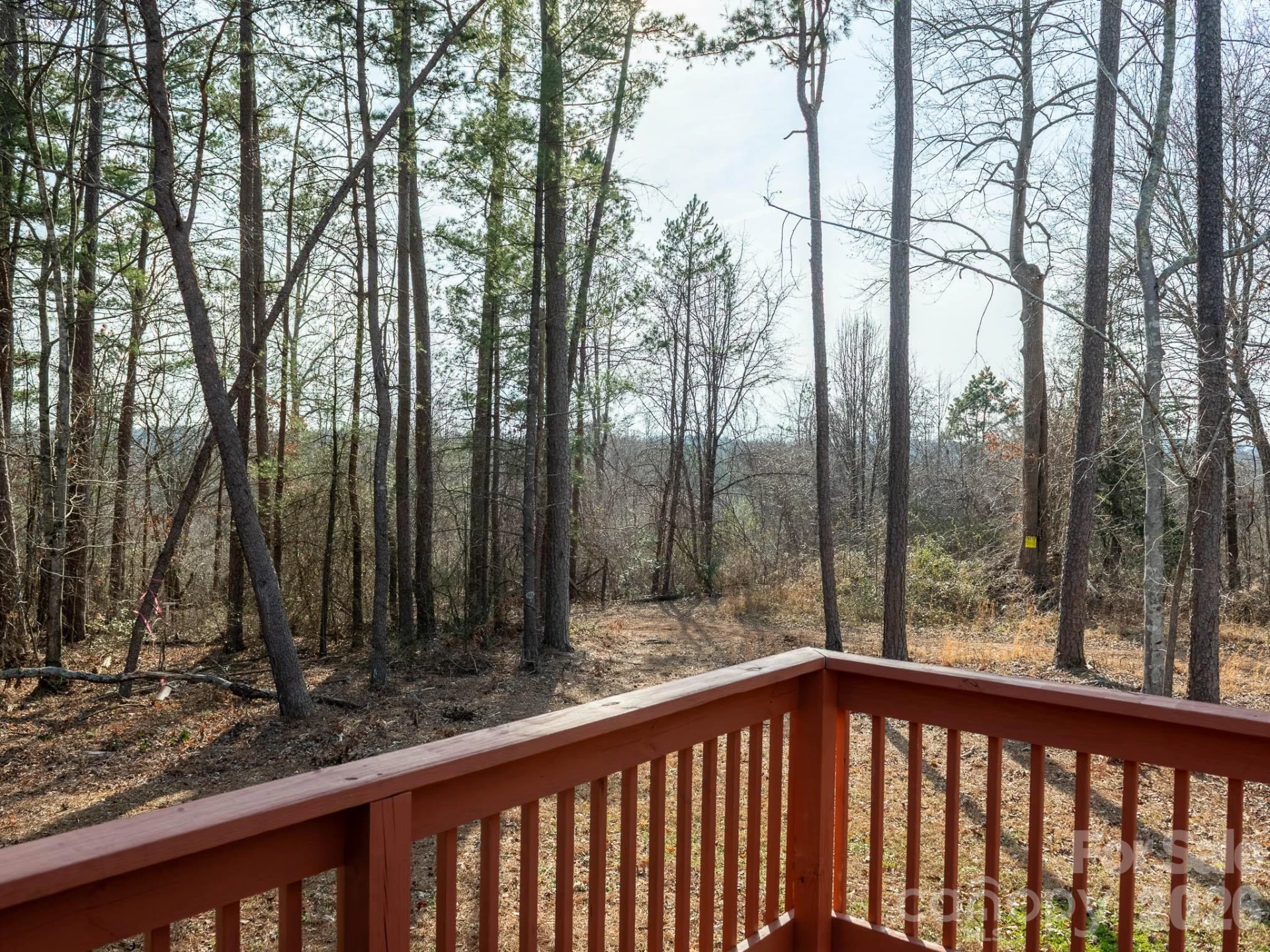 3013 Bonnie Lane #3 - Photo 10