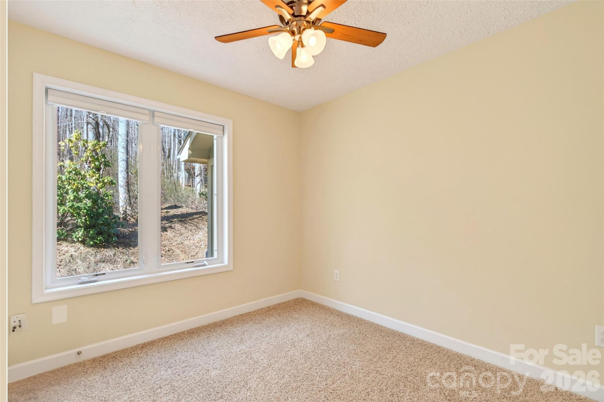 741 Blue Ridge Drive - Photo 28