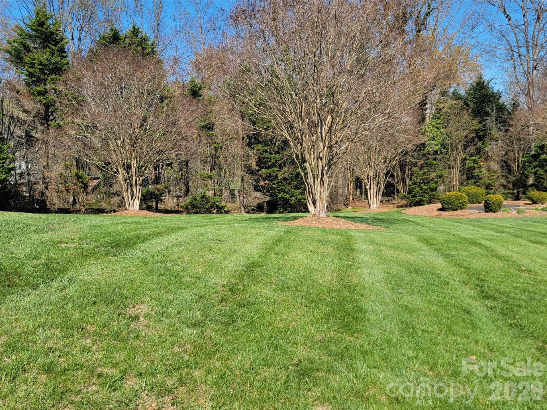 107 Forrest Glenn Court - Photo 10