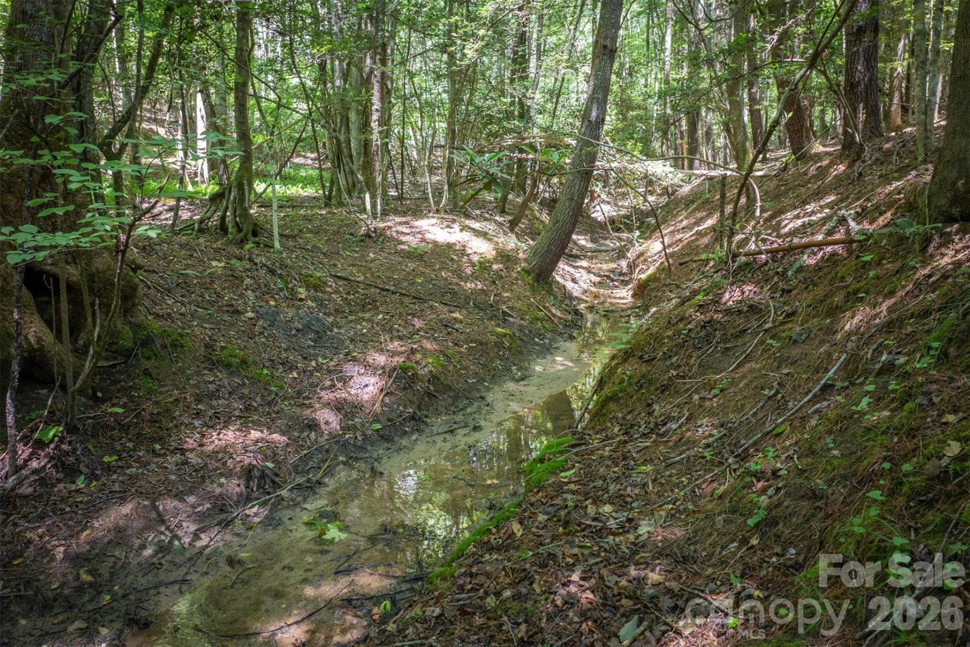 2243 Cottage Park Road - Photo 6