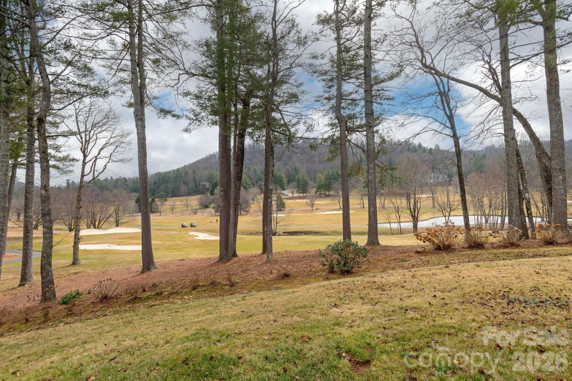 155 WINDING MEADOWS Drive - Photo 35