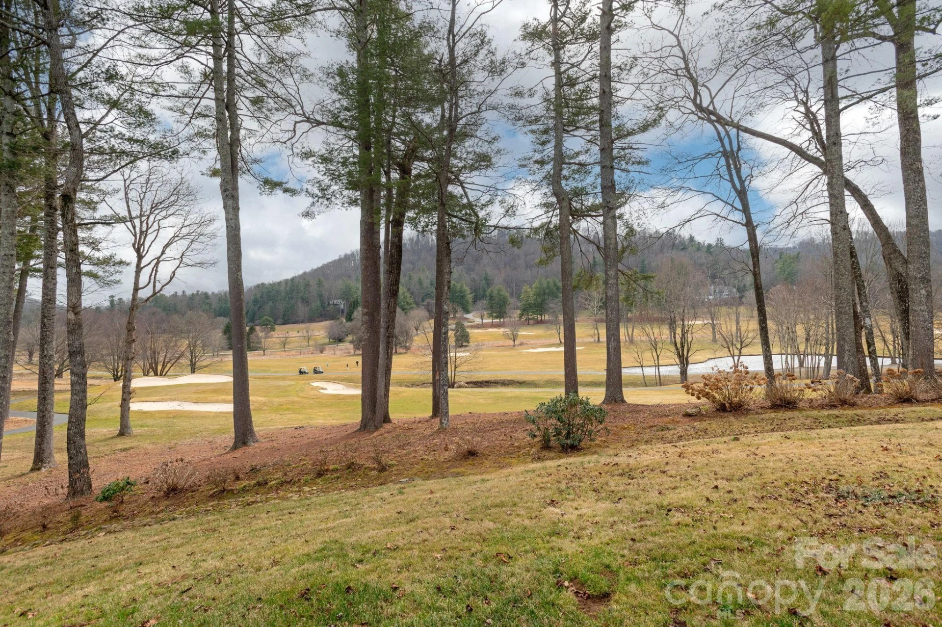 155 WINDING MEADOWS Drive - Photo 35