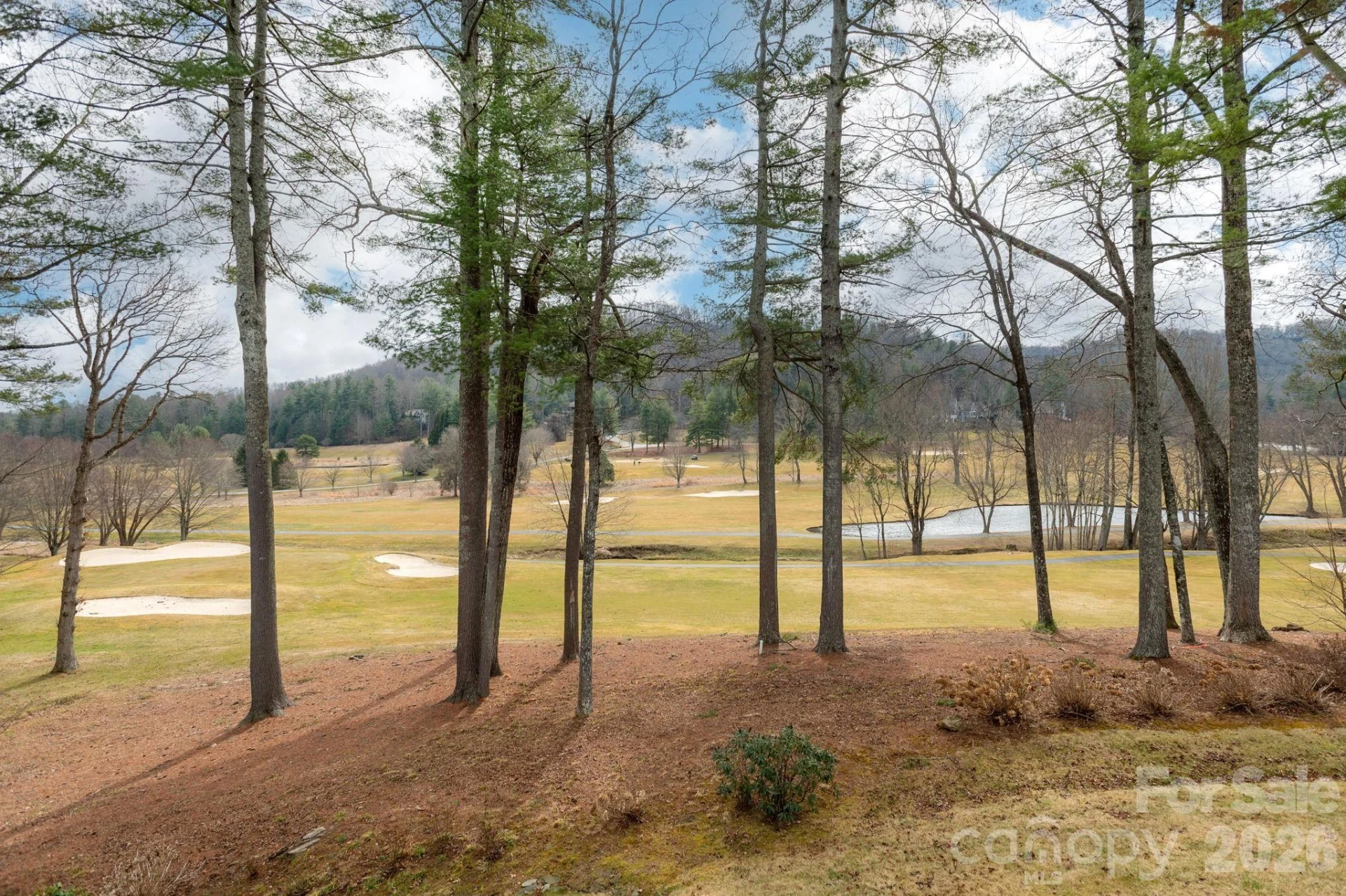 155 WINDING MEADOWS Drive - Photo 10
