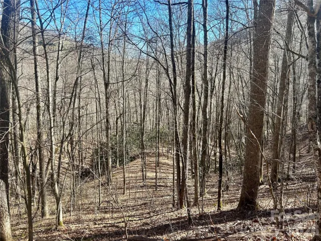 0 Deep Gap View, Whittier, NC, 28789
