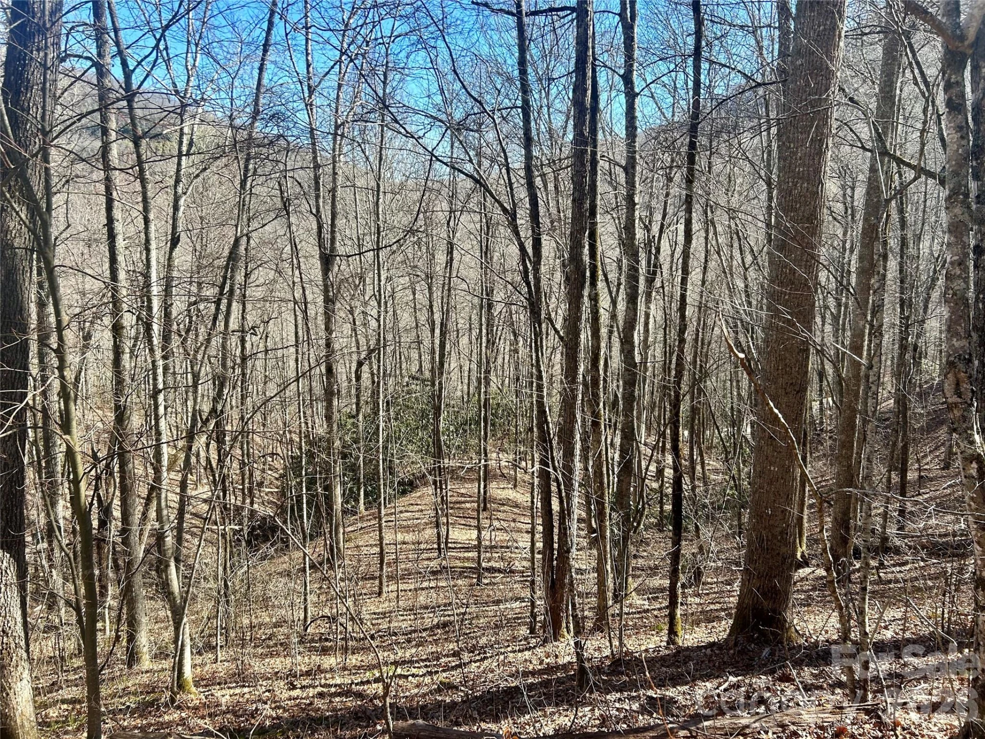 0 Deep Gap View #51&52&53