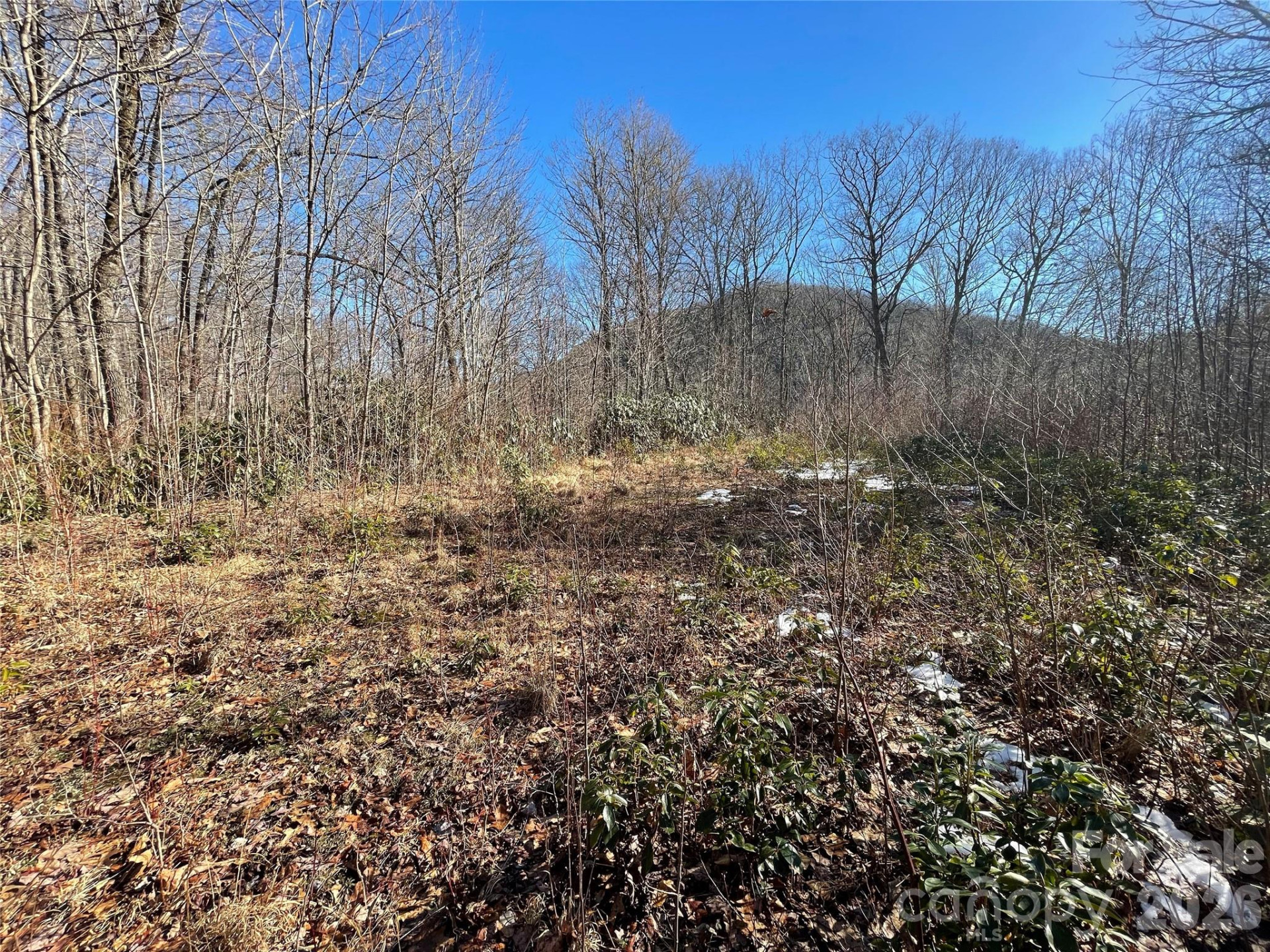 0 Deep Gap View #51&52&53 - Photo 12