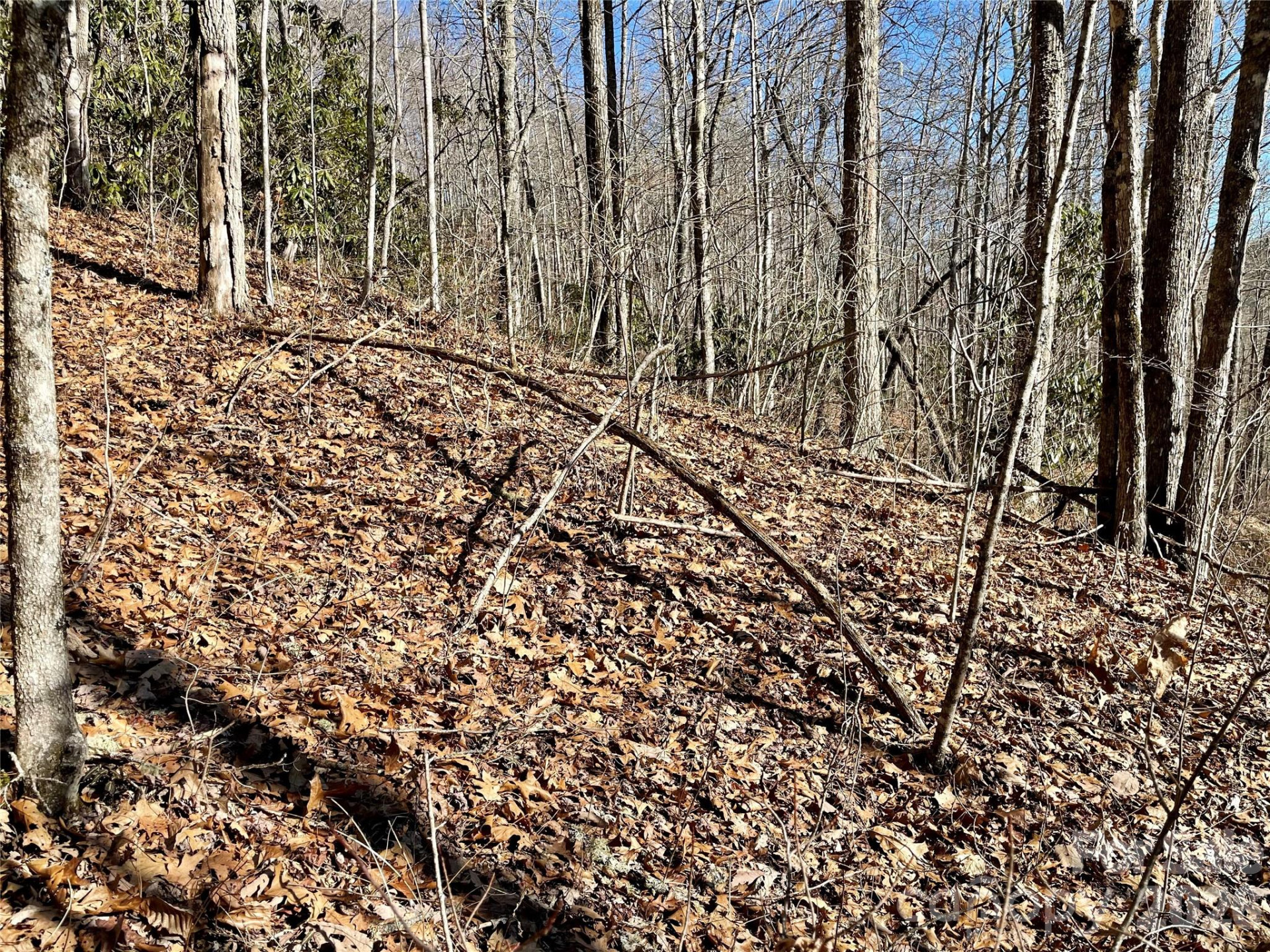 0 Deep Gap View #51&52&53 - Photo 13