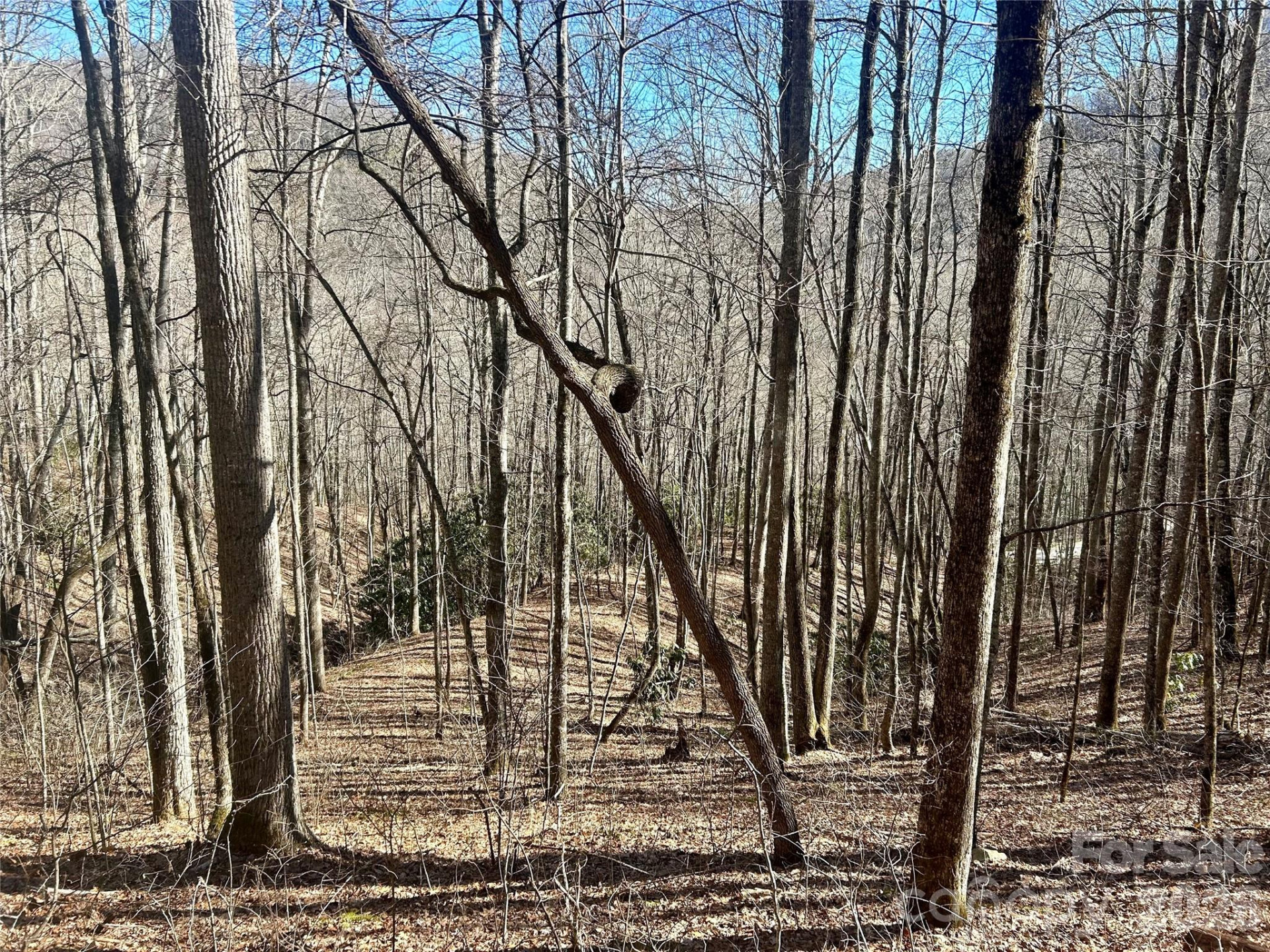 0 Deep Gap View #51&52&53 - Photo 3