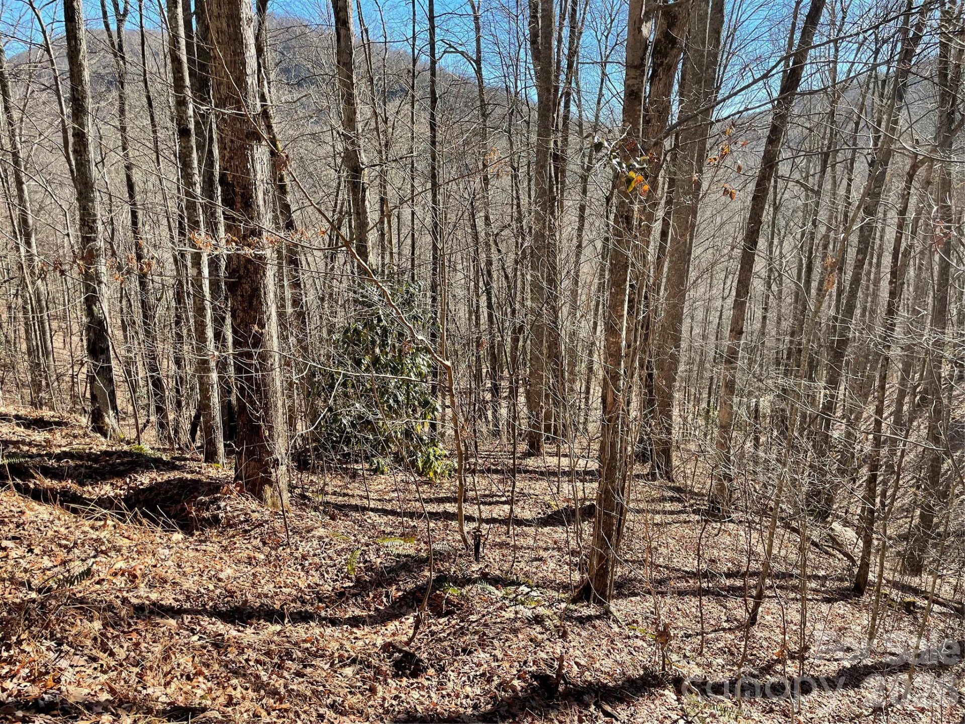 0 Deep Gap View #51&52&53 - Photo 4