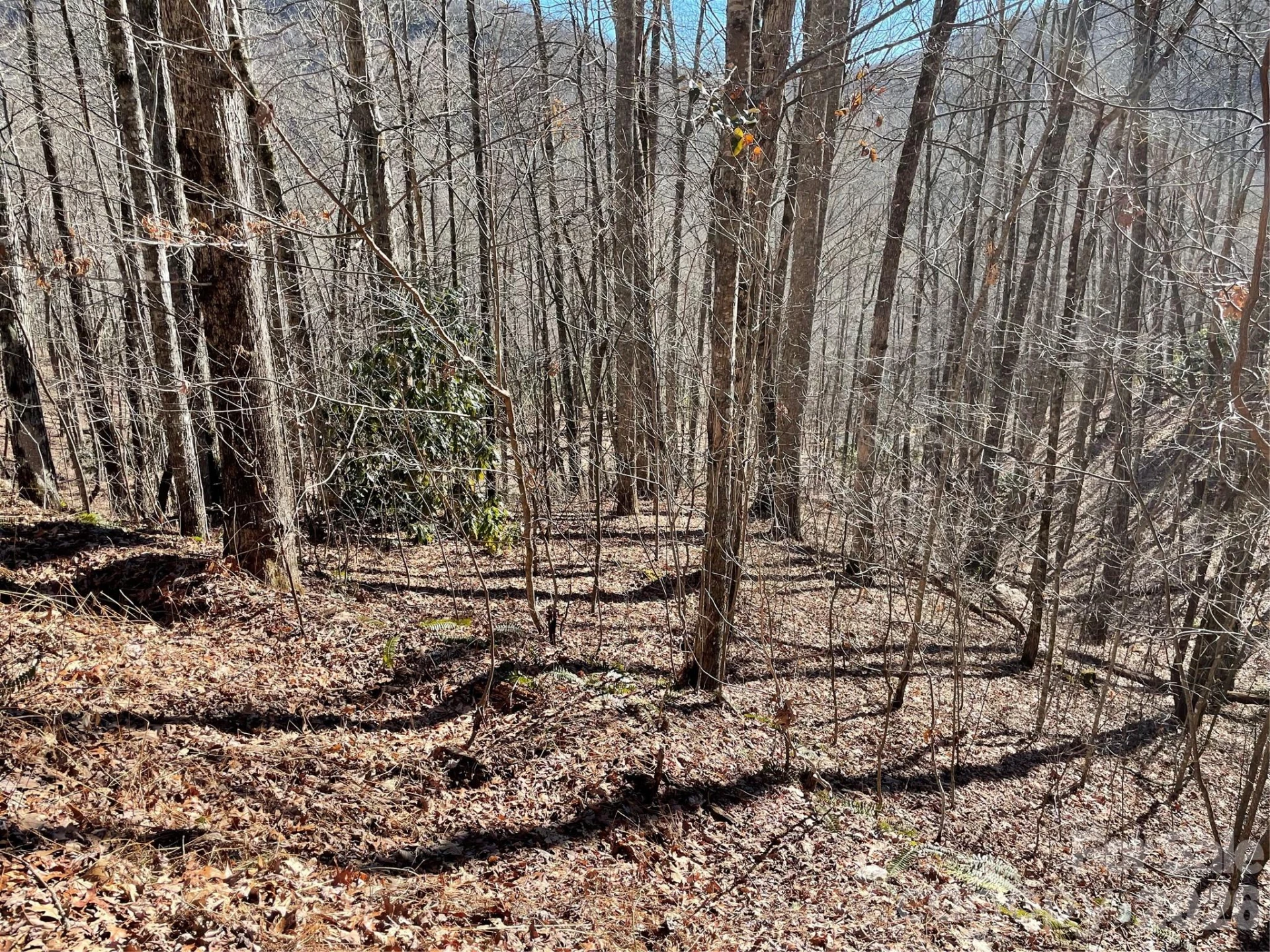 0 Deep Gap View #51&52&53 - Photo 5