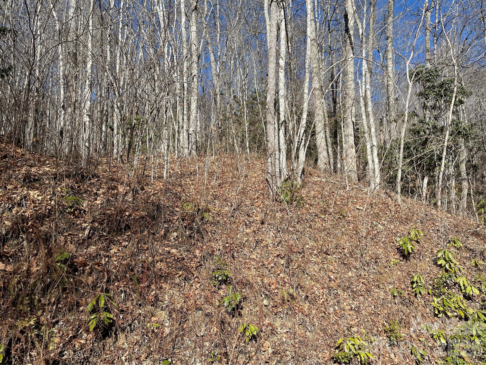 0 Deep Gap View #51&52&53 - Photo 6