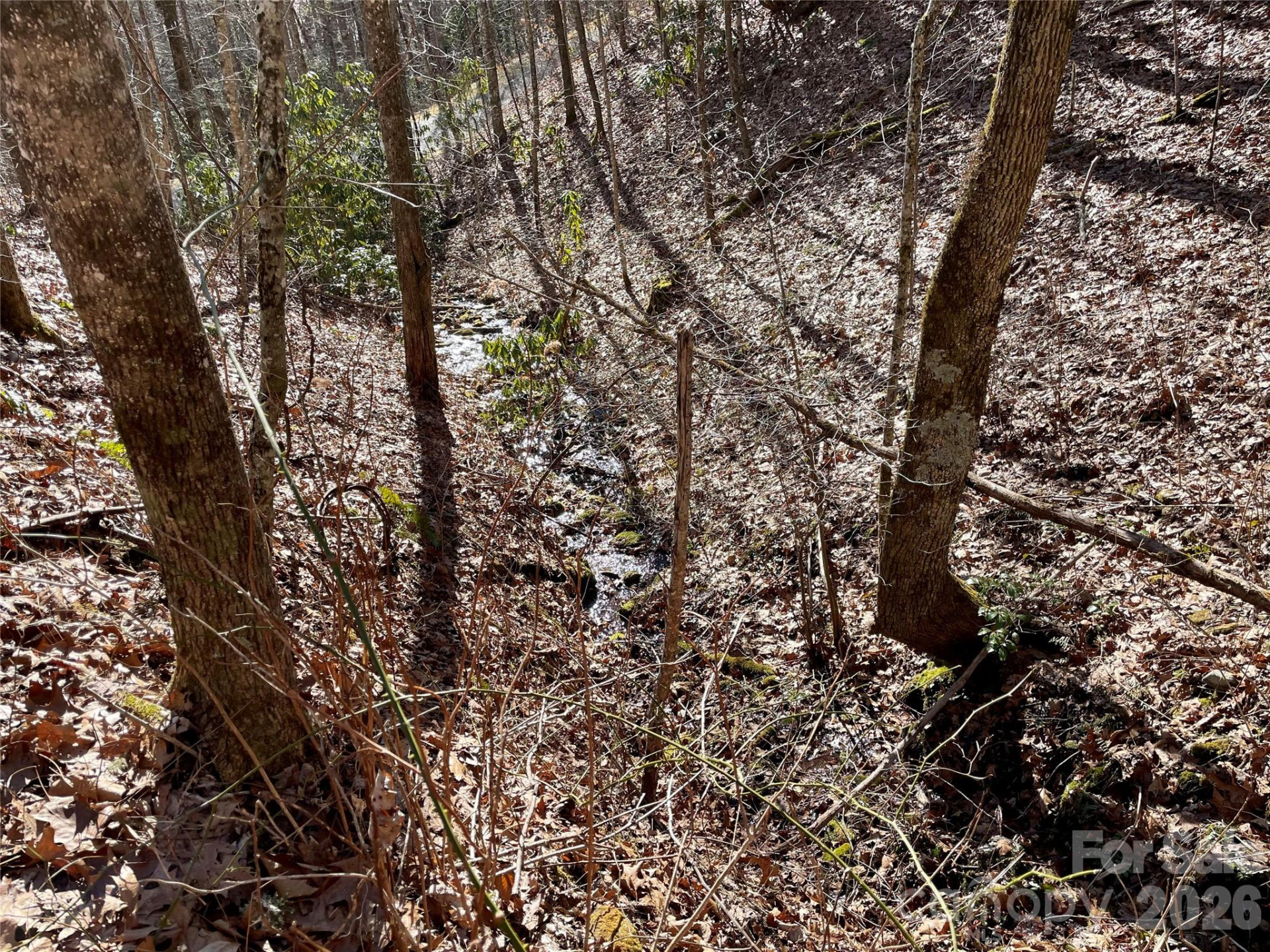 0 Deep Gap View #51&52&53 - Photo 8