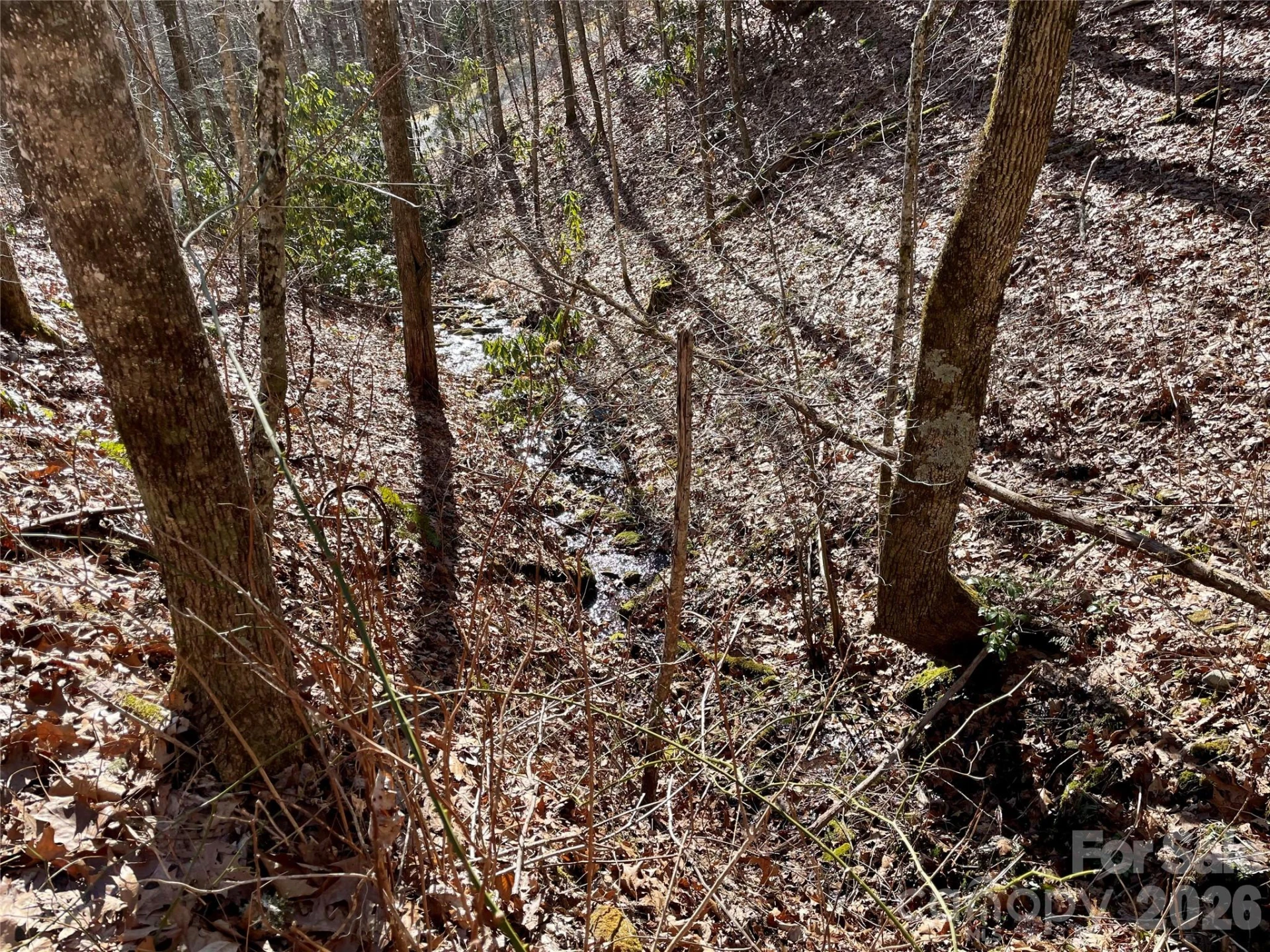 0 Deep Gap View #51&52&53 - Photo 8