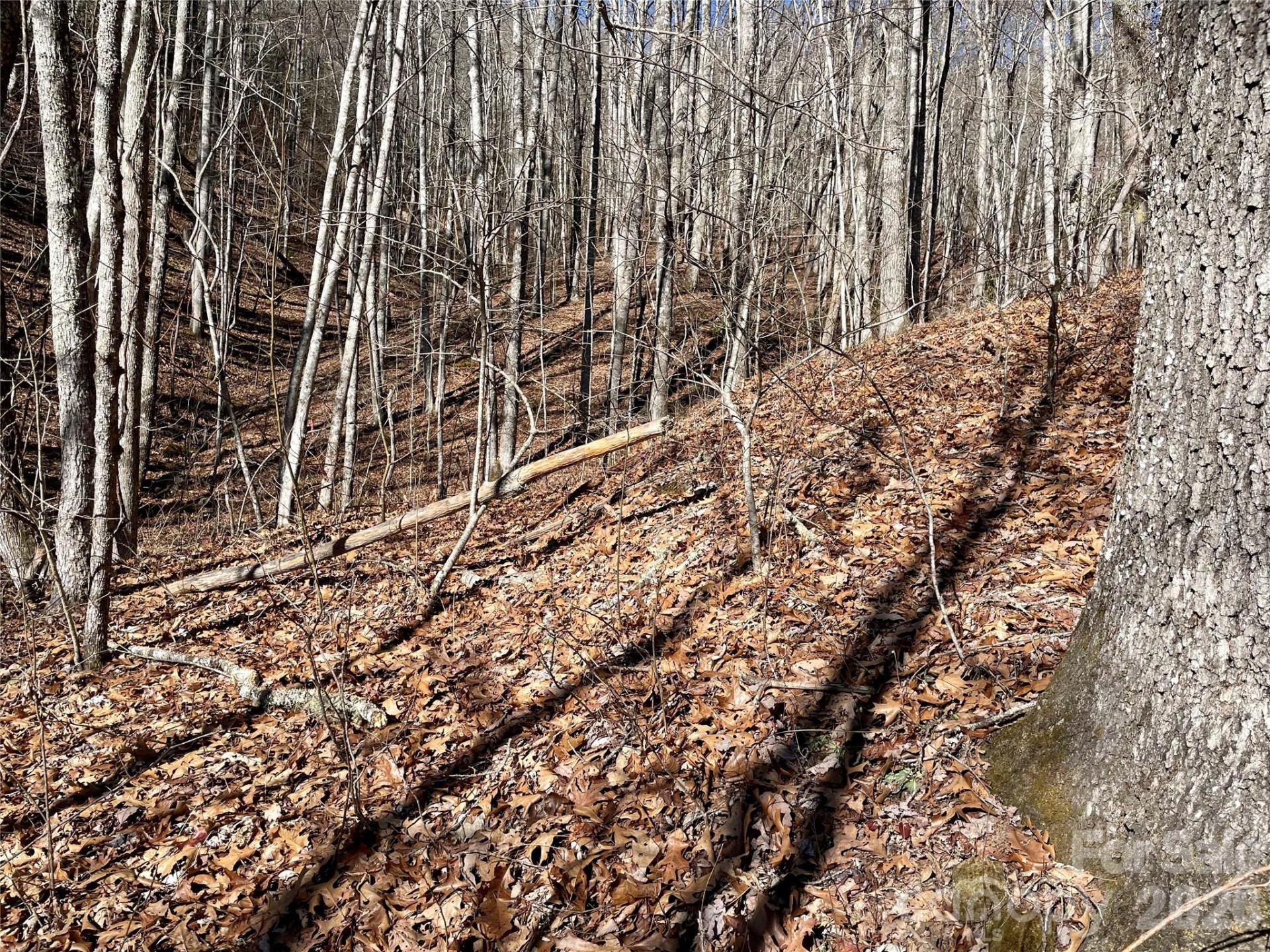 0 Deep Gap View #51&52&53 - Photo 9