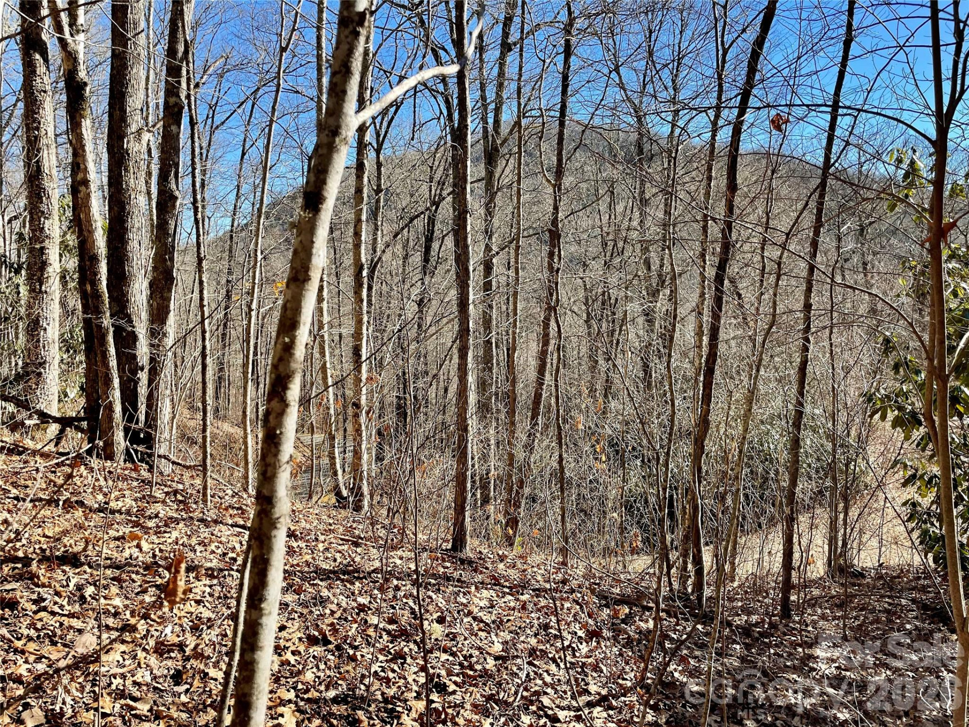 0 Deep Gap View #51&52&53 - Photo 10