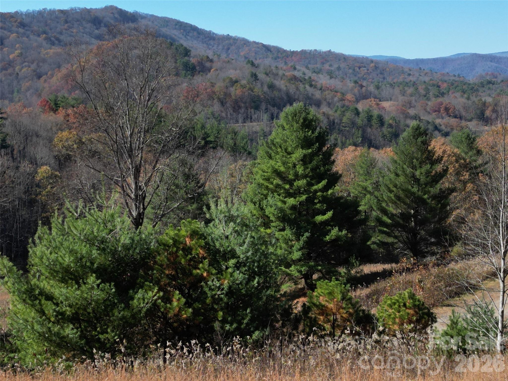 00 Dream Valley Drive #22 - Photo 13