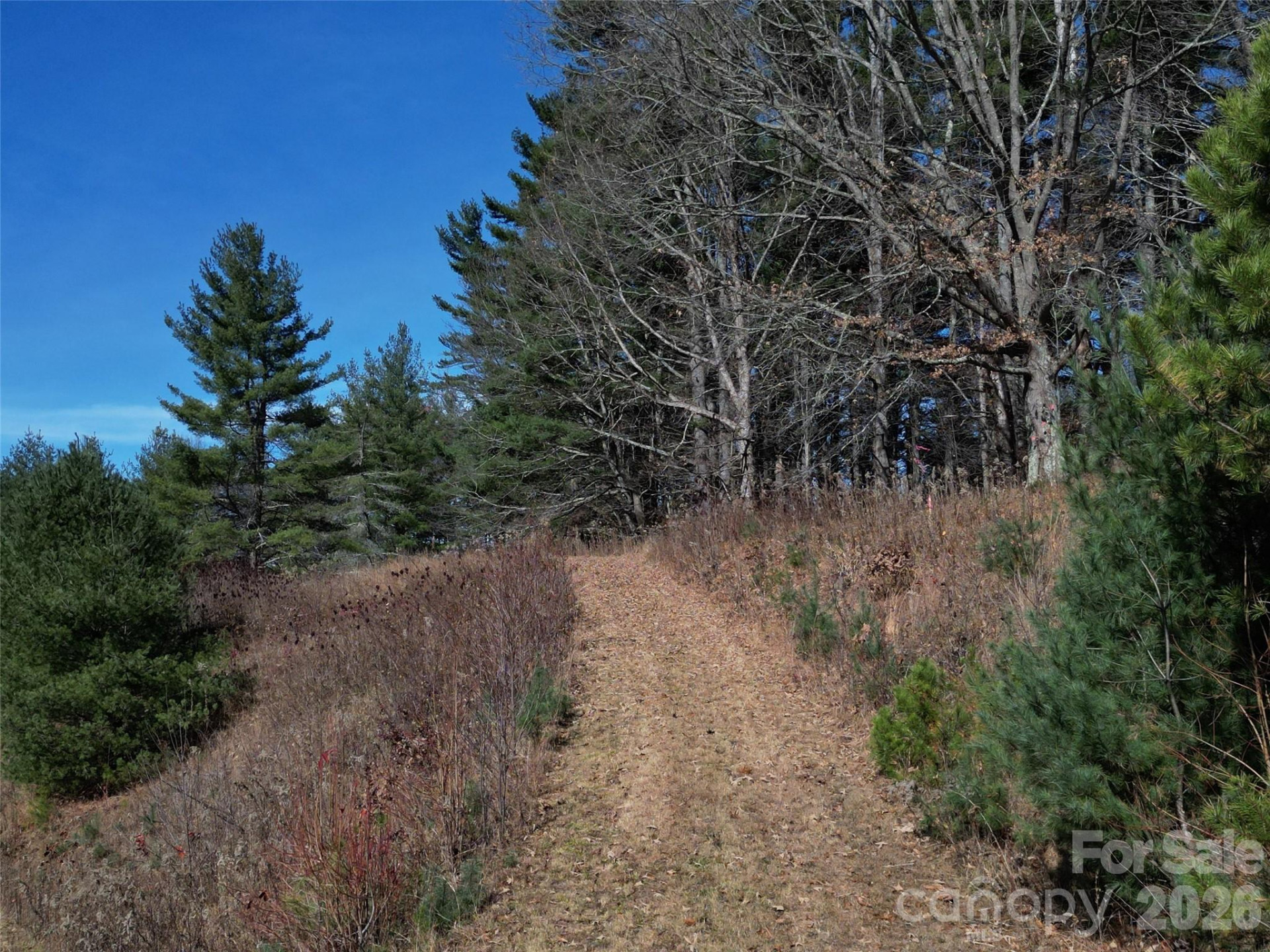 00 Dream Valley Drive #22 - Photo 19