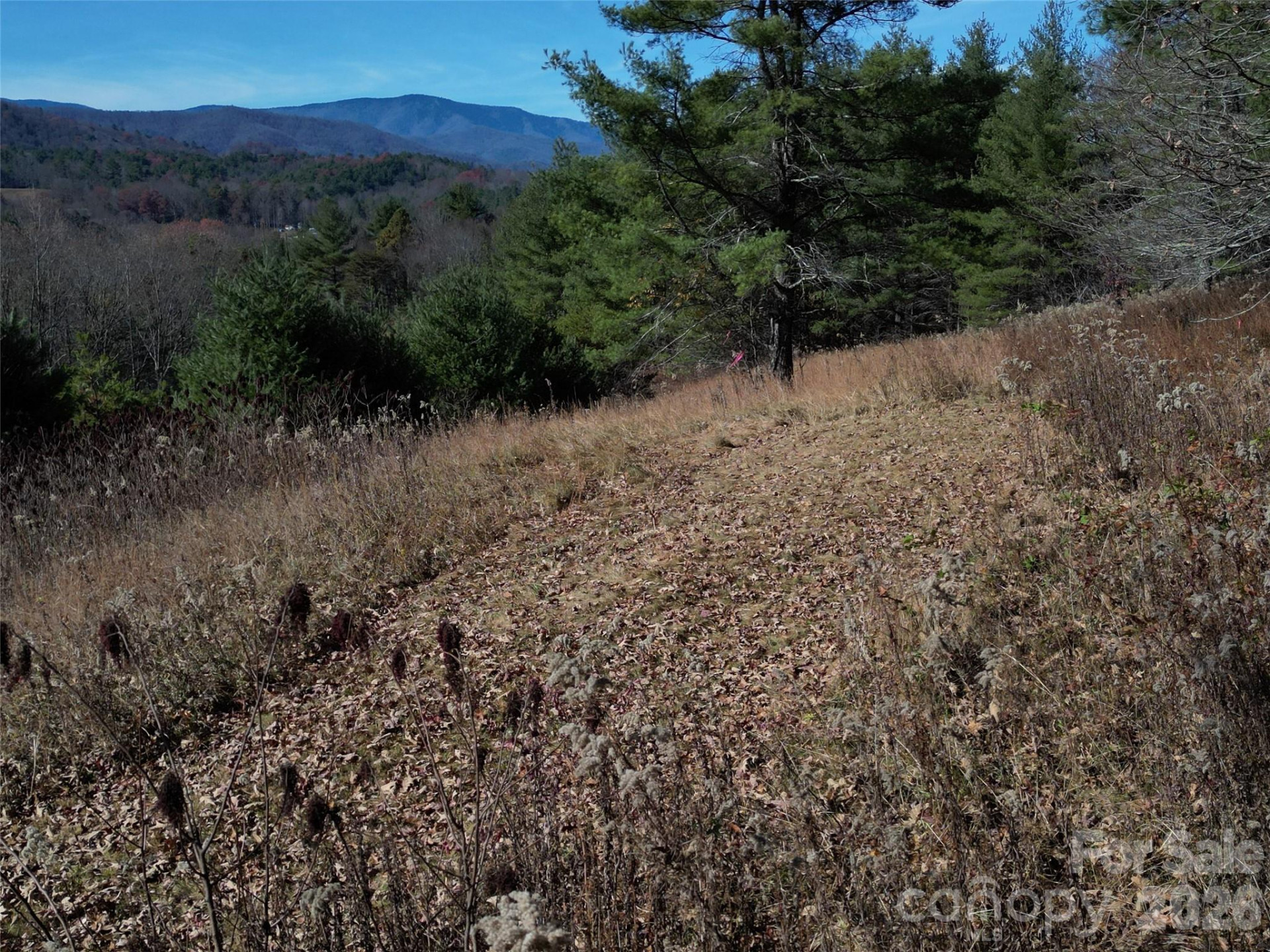 00 Dream Valley Drive #22 - Photo 23