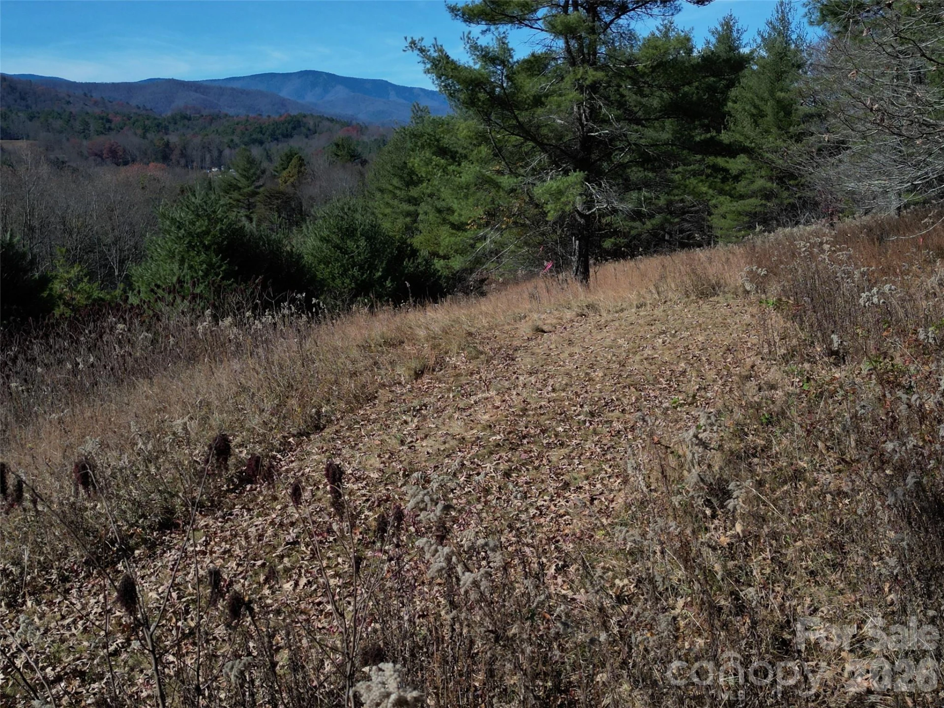 00 Dream Valley Drive #22 - Photo 23