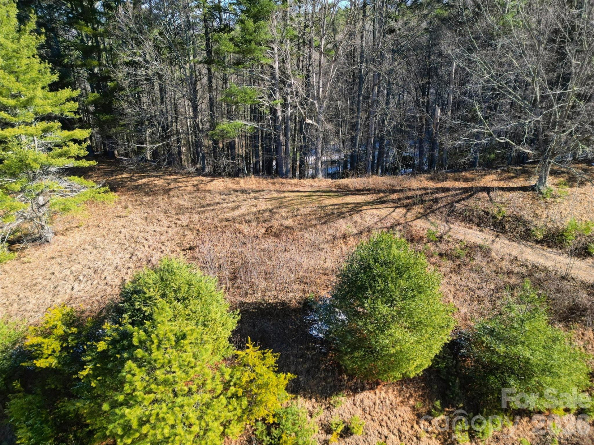 00 Dream Valley Drive #22 - Photo 9