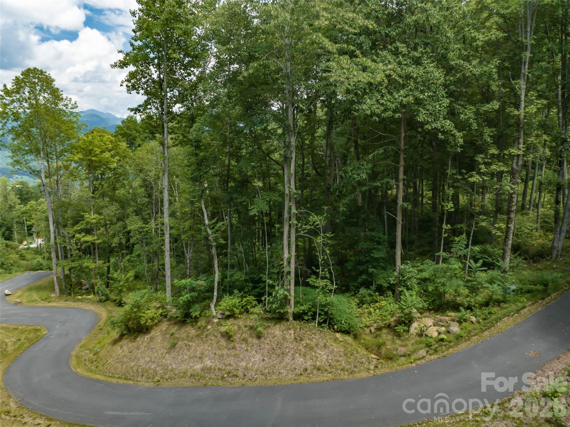 1394 Daydream Ridge - Photo 11