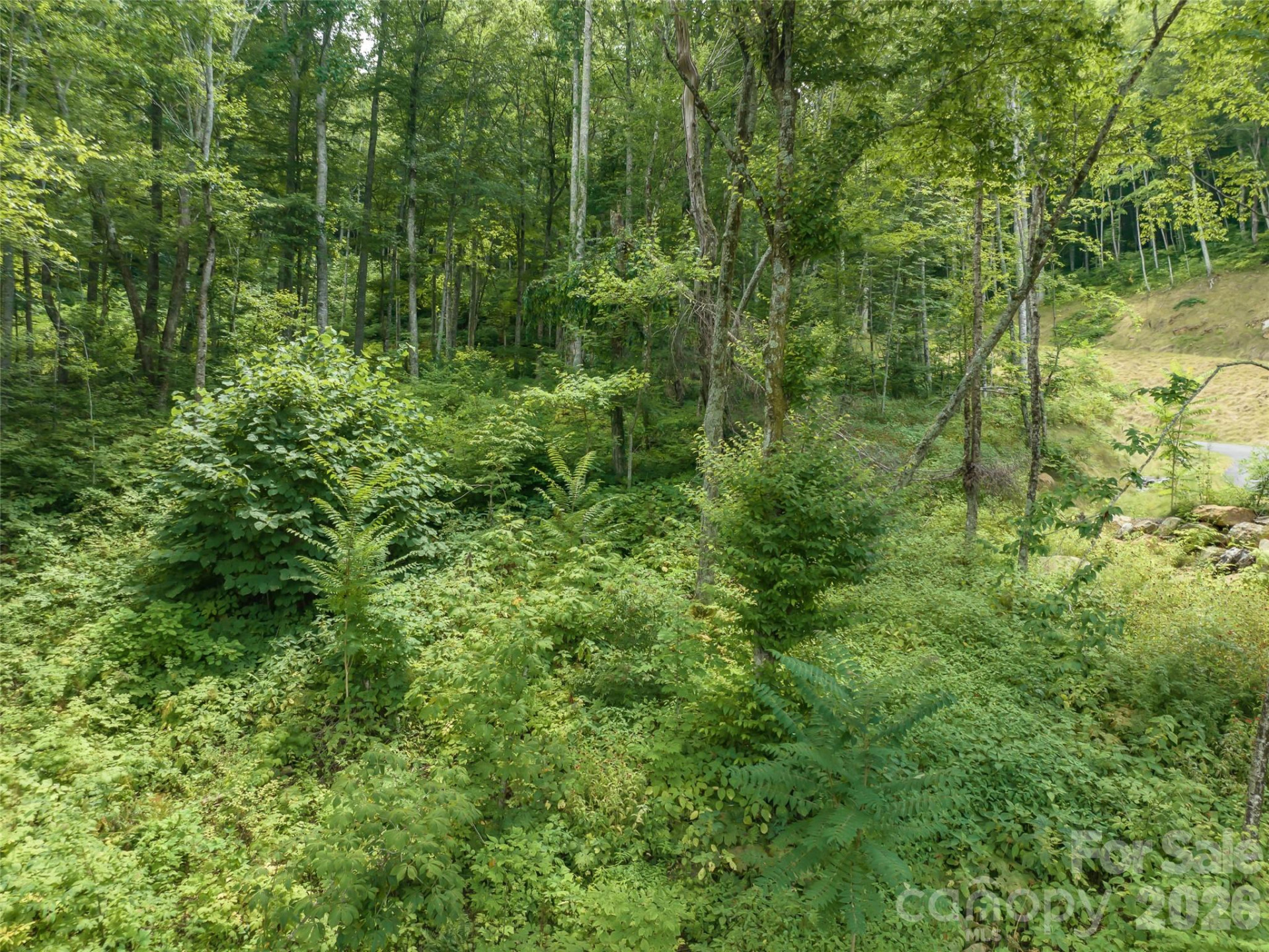 1394 Daydream Ridge - Photo 14