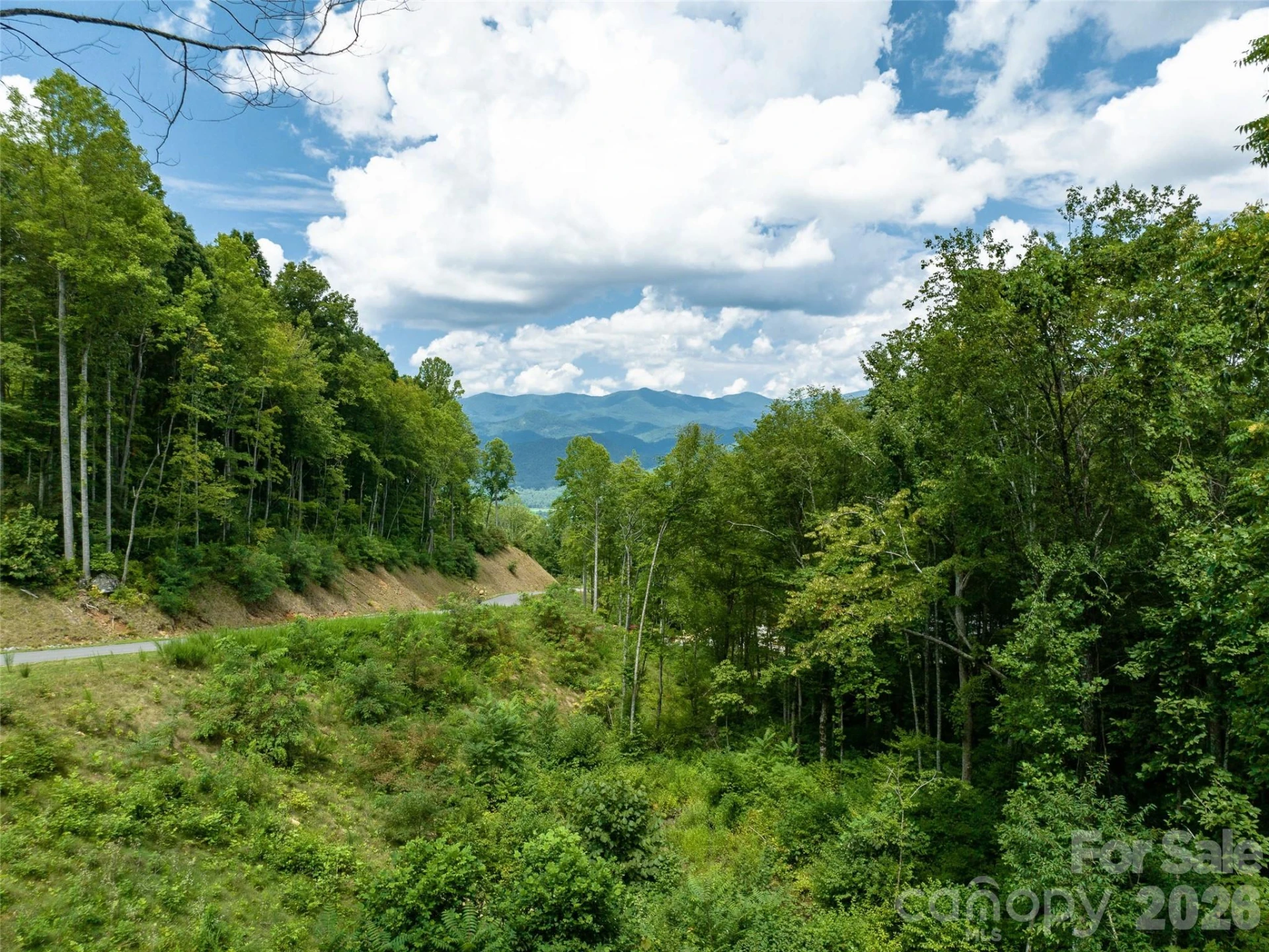1394 Daydream Ridge - Photo 15