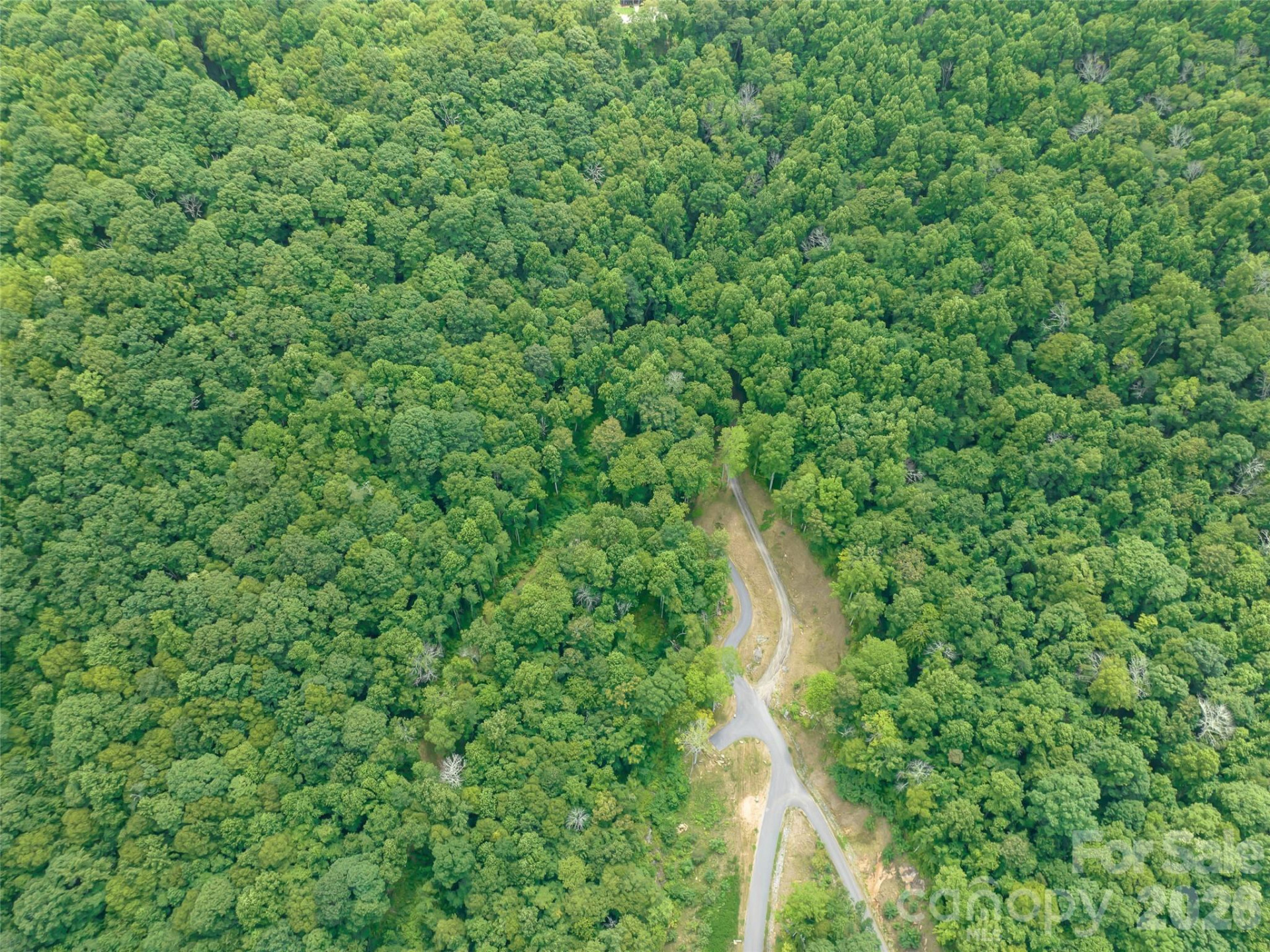 1394 Daydream Ridge - Photo 17