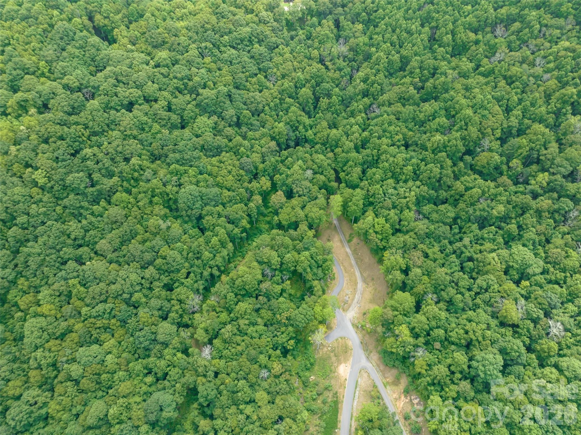 1394 Daydream Ridge - Photo 17