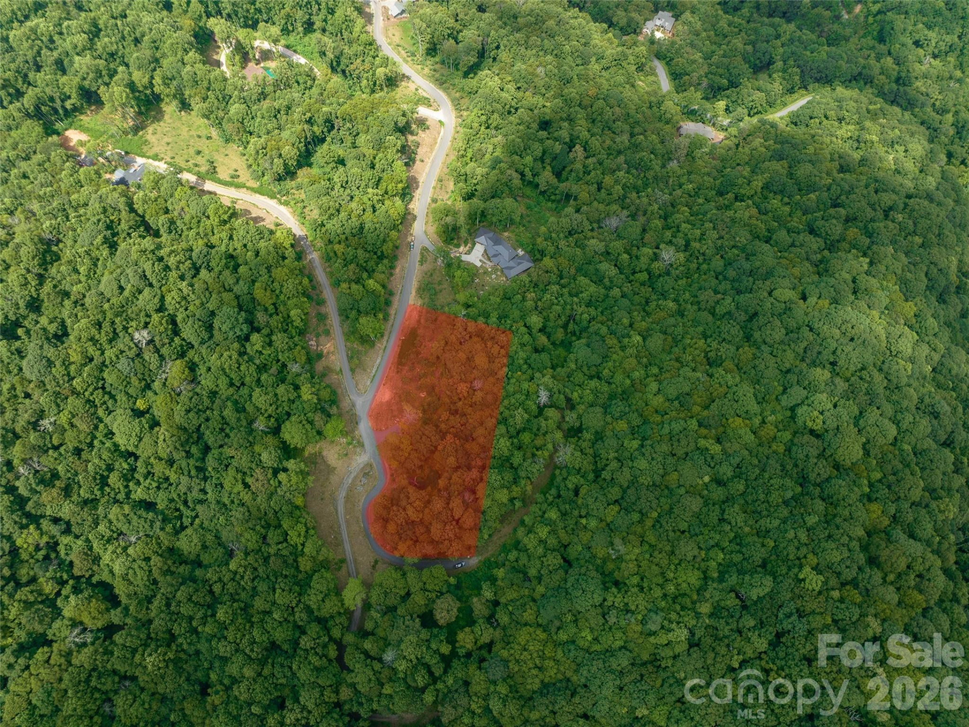 1394 Daydream Ridge - Photo 3