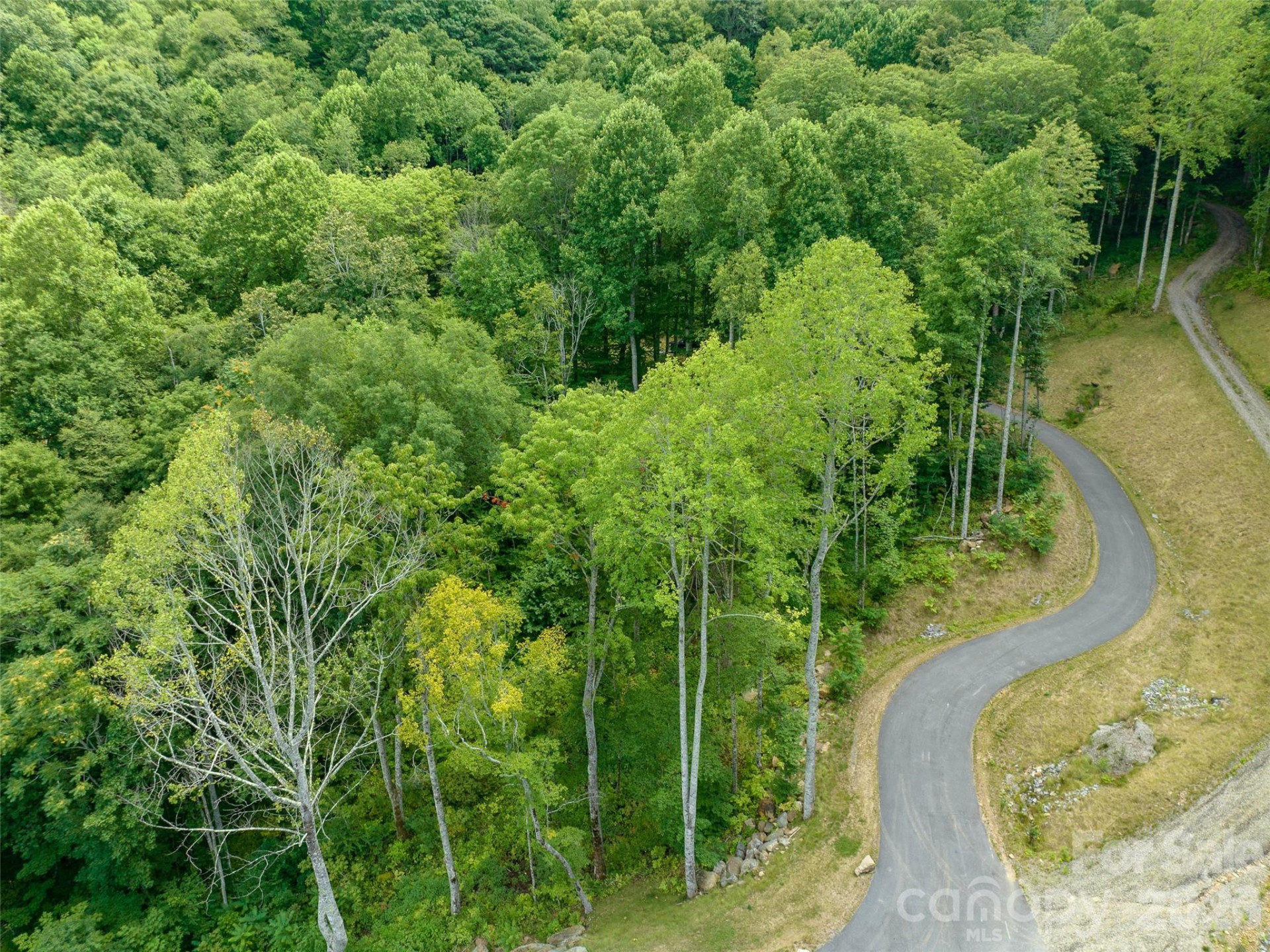 1394 Daydream Ridge - Photo 21