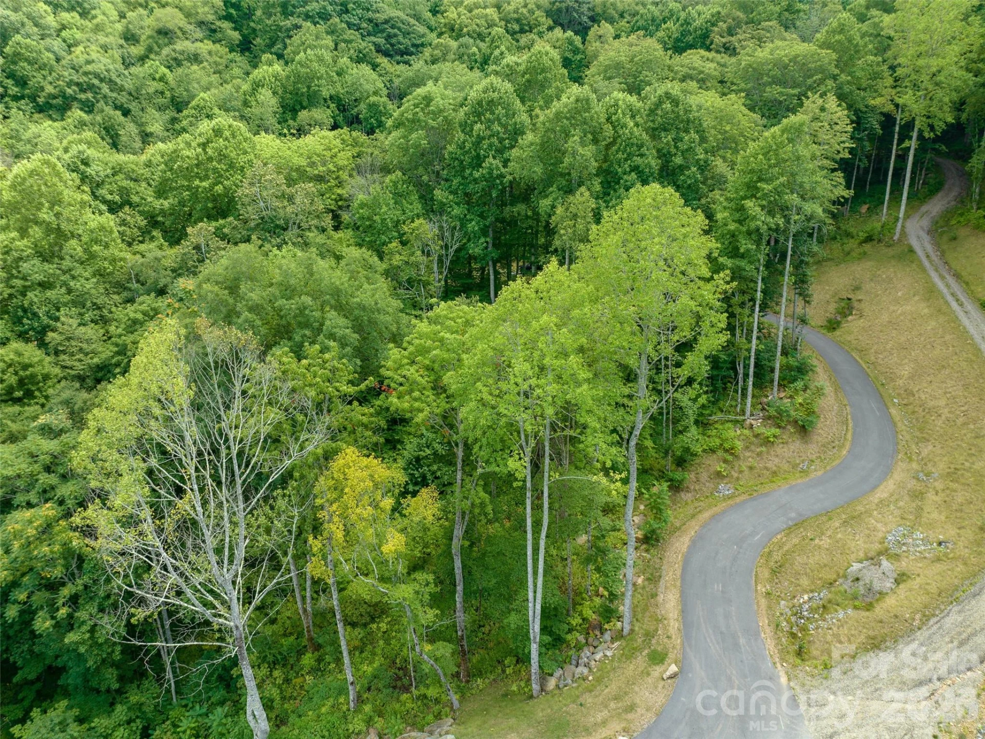 1394 Daydream Ridge - Photo 21