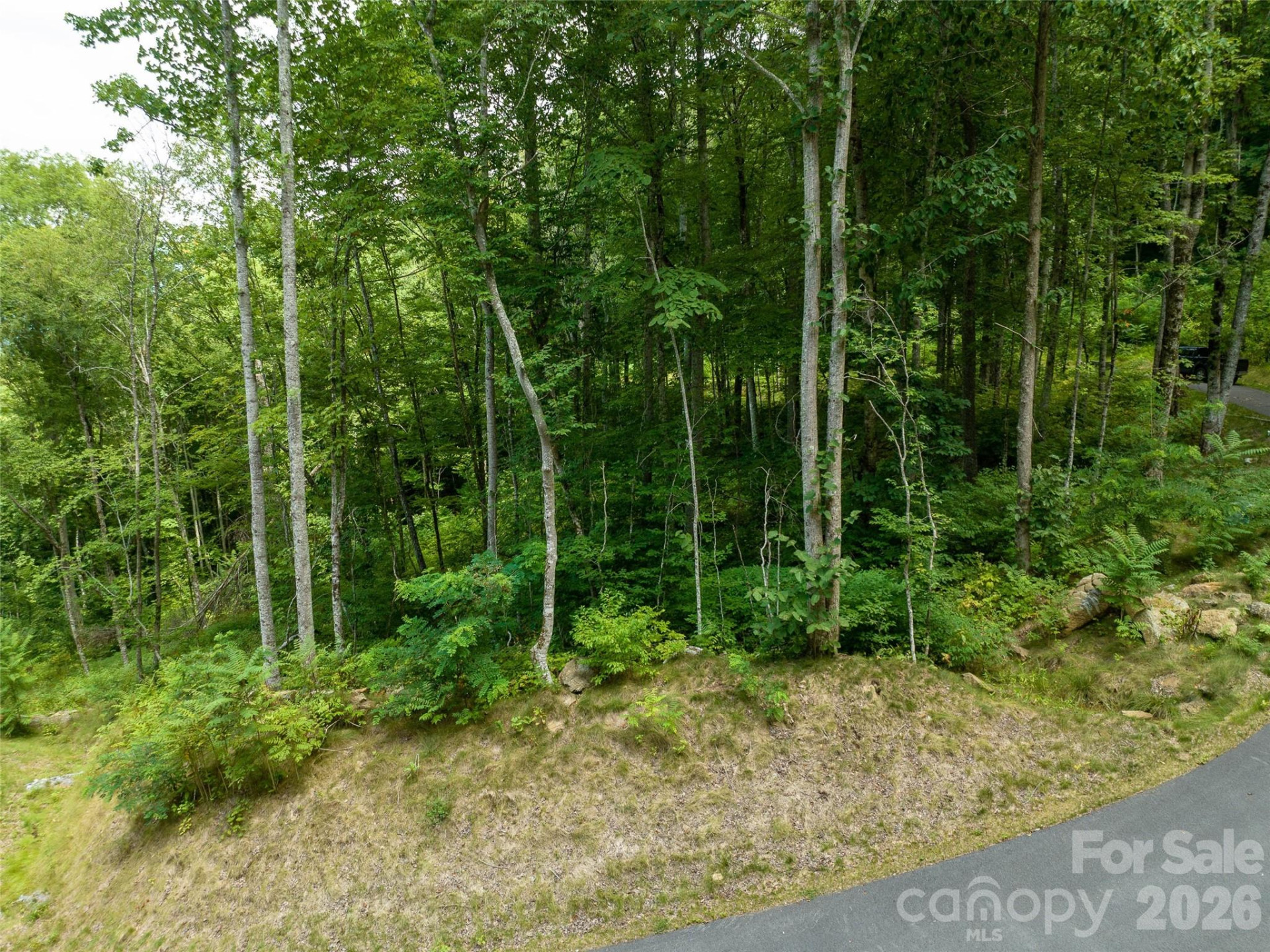 1394 Daydream Ridge - Photo 23