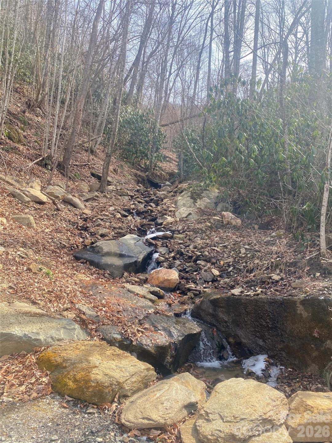 1394 Daydream Ridge - Photo 24