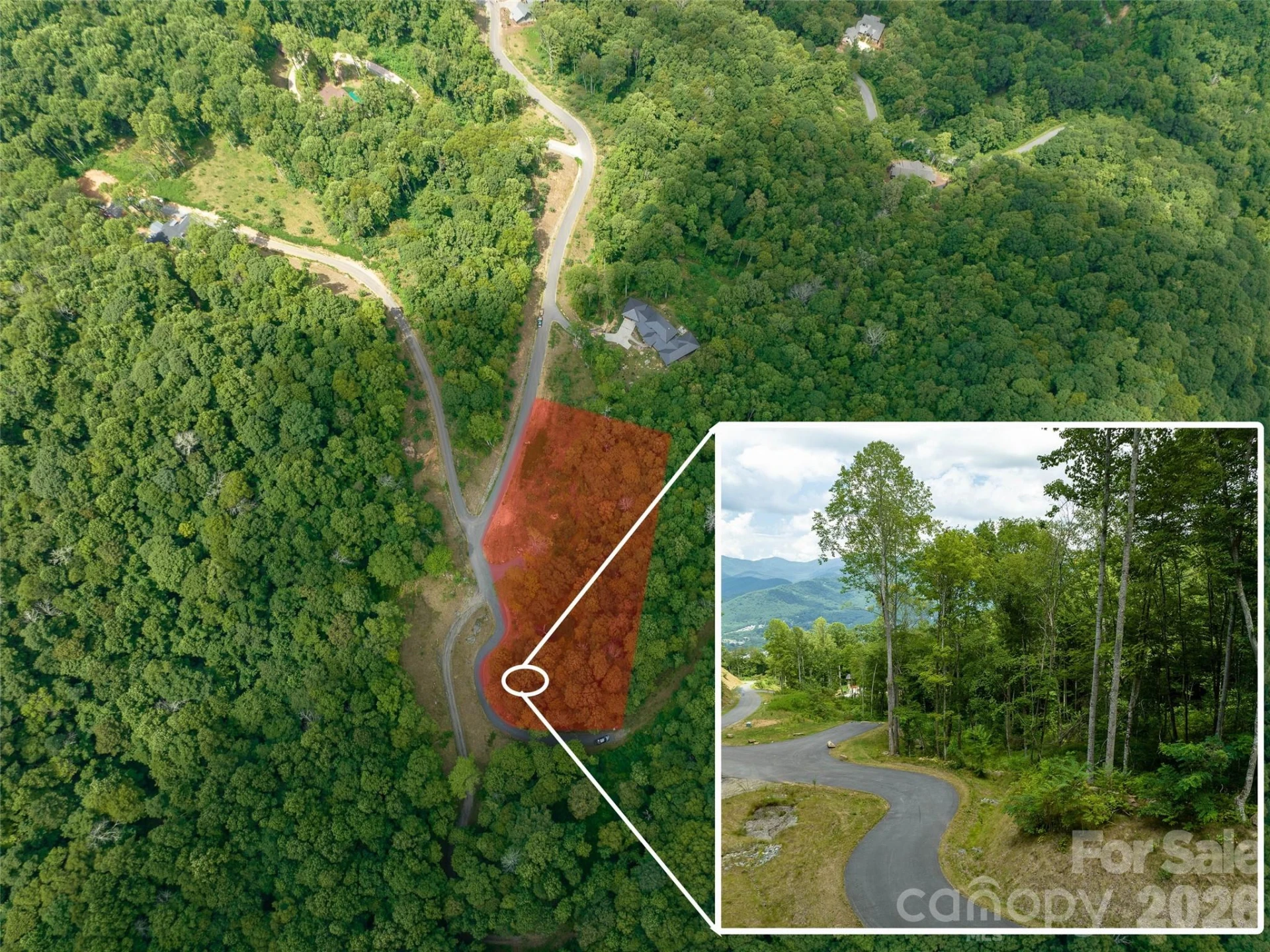 1394 Daydream Ridge - Photo 4