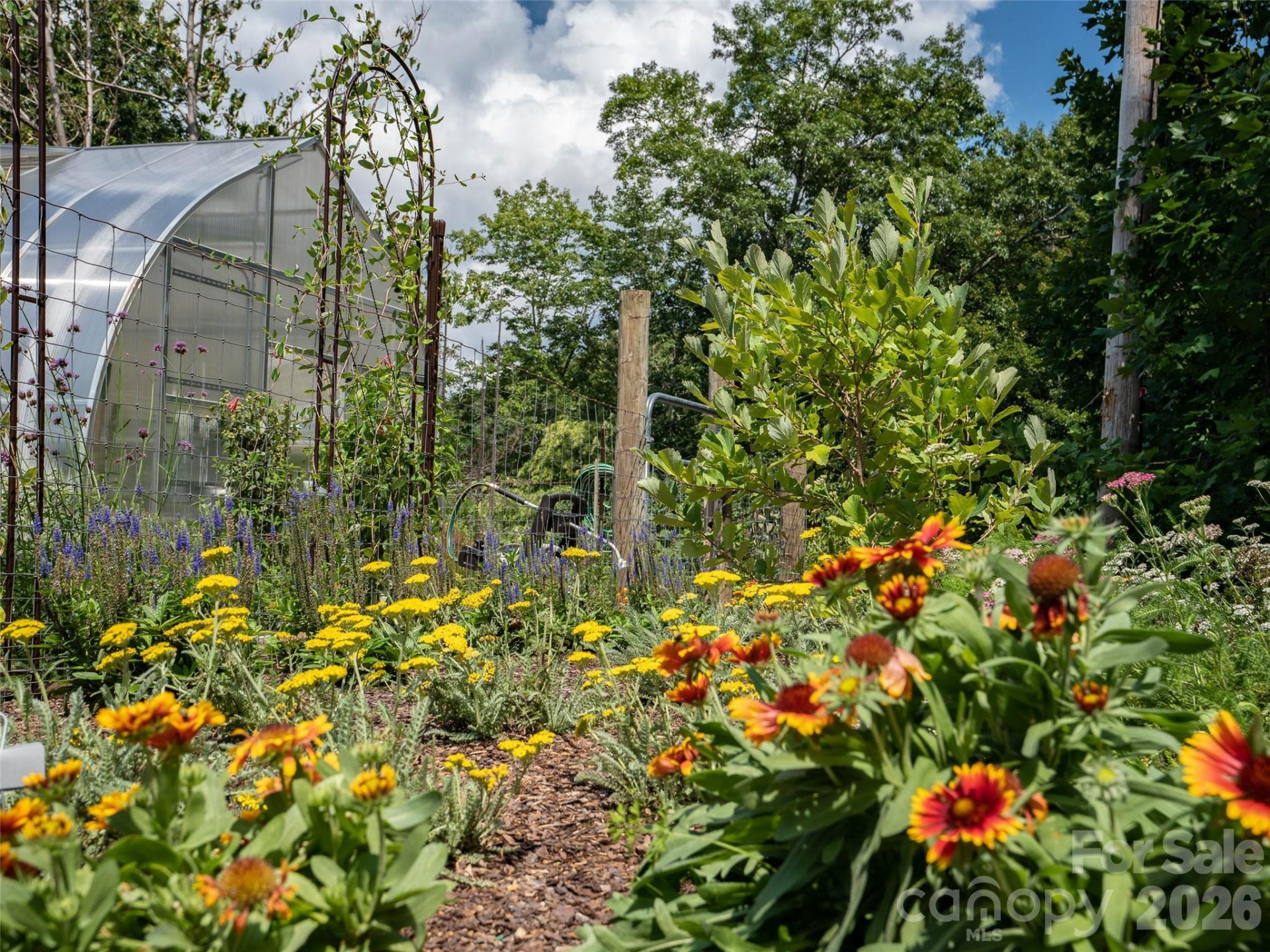 1394 Daydream Ridge - Photo 7