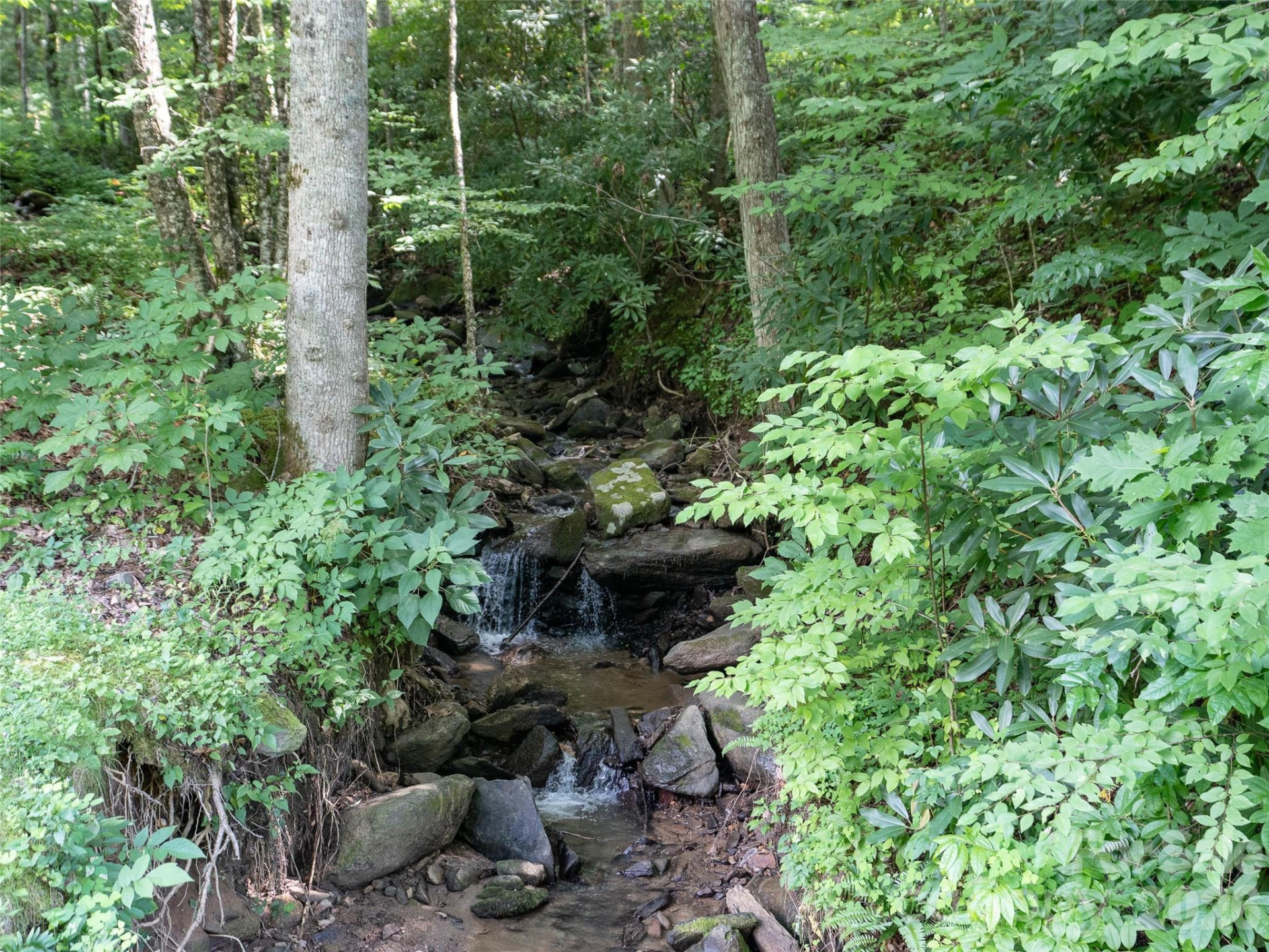 1394 Daydream Ridge - Photo 8