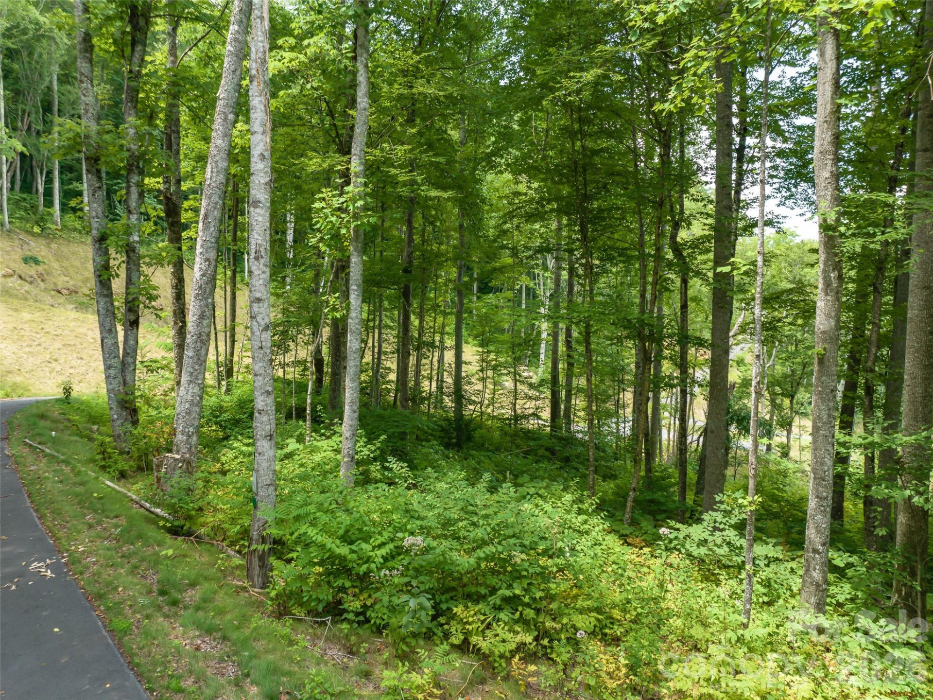 1394 Daydream Ridge - Photo 9