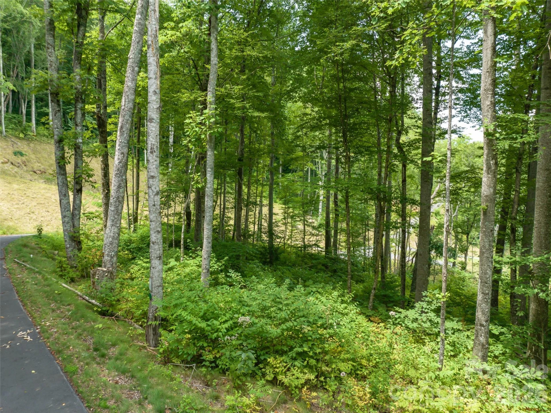 1394 Daydream Ridge - Photo 9