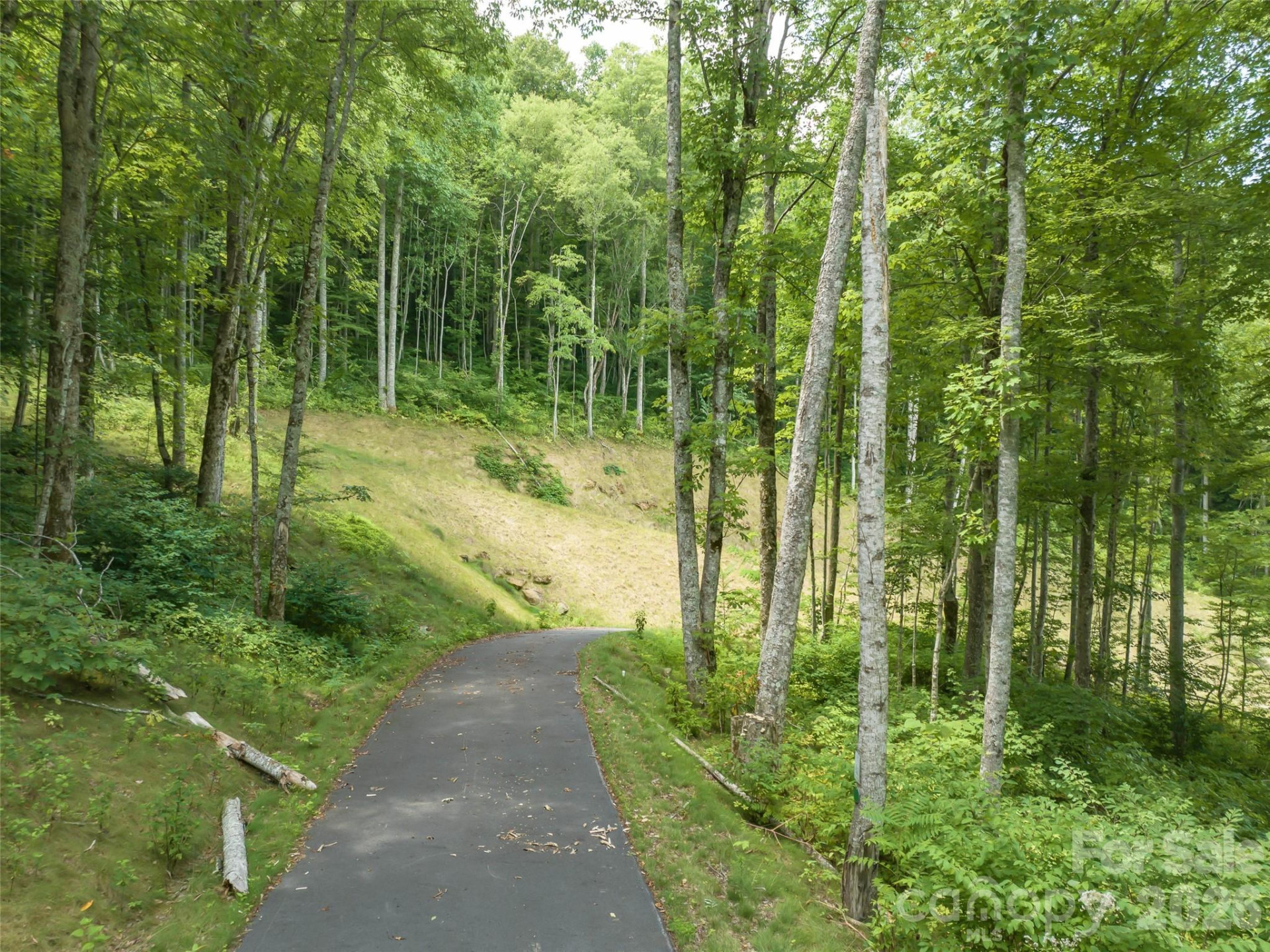 1394 Daydream Ridge - Photo 10