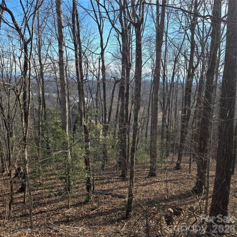 85 Shinnecock Drive, Mills River, NC, 28759