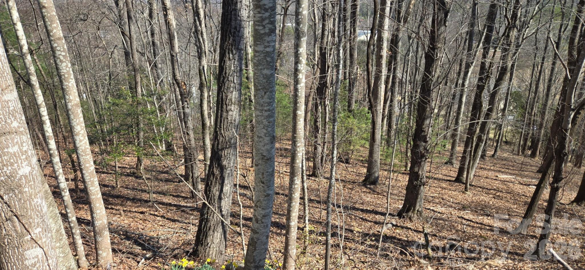 85 Shinnecock Drive #7 - Photo 4