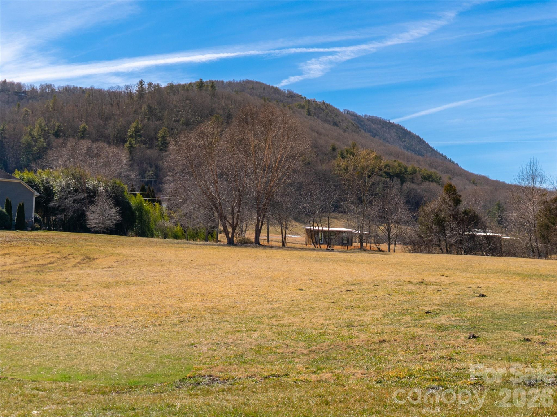 00 Saddle Club Lane - Photo 5