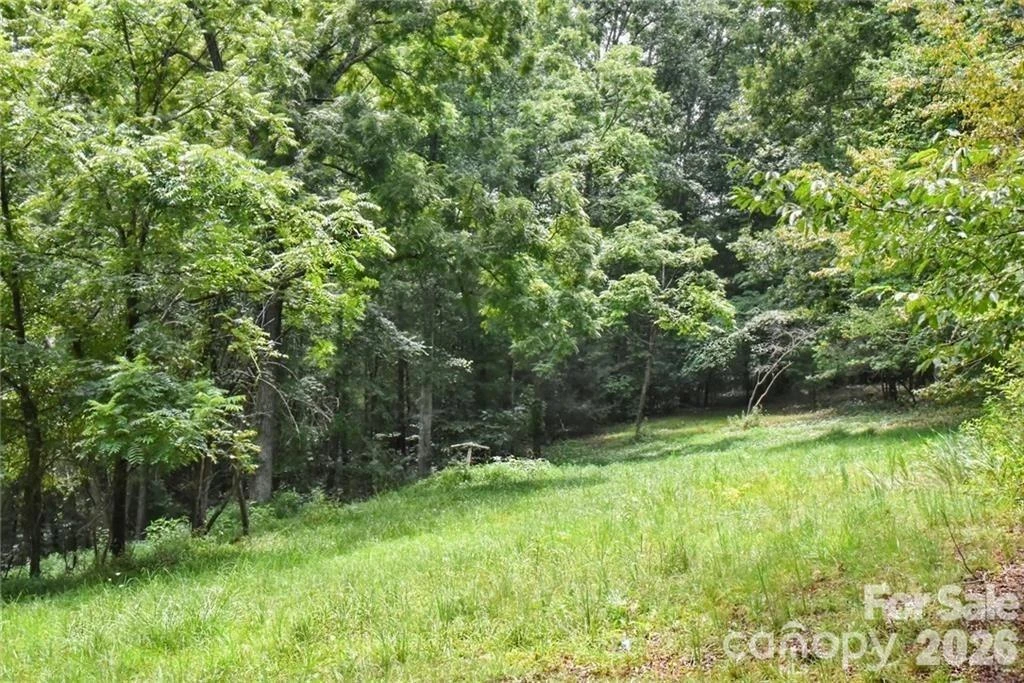 19 Laurel Loop Road - Photo 2