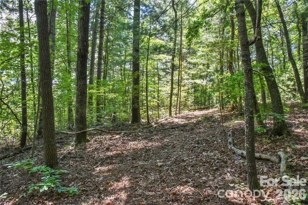 19 Laurel Loop Road - Photo 13