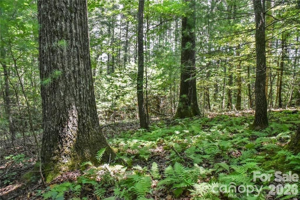 19 Laurel Loop Road - Photo 3